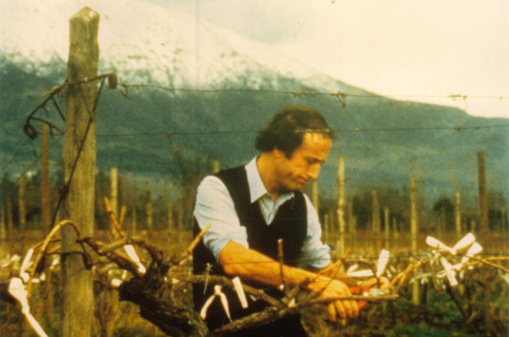 Fundación de Miguel Torres Chile