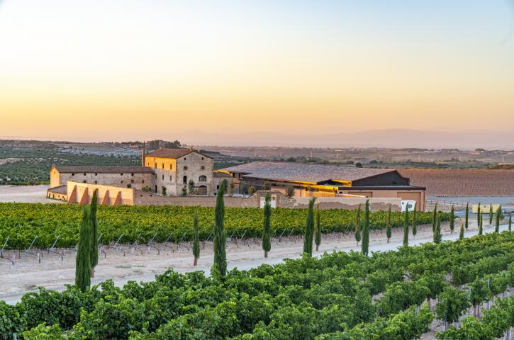 Inauguración de la bodega Purgatori (DO Costers del Segre)