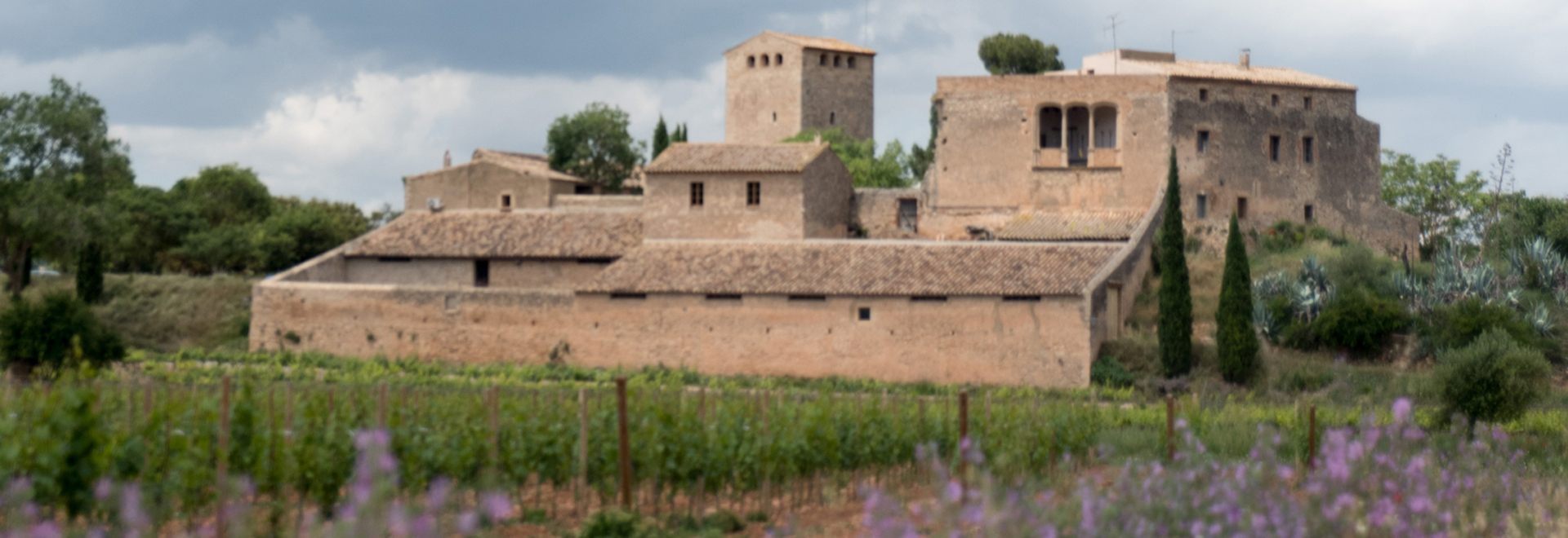 Milmanda (DO Conca de Barberà)