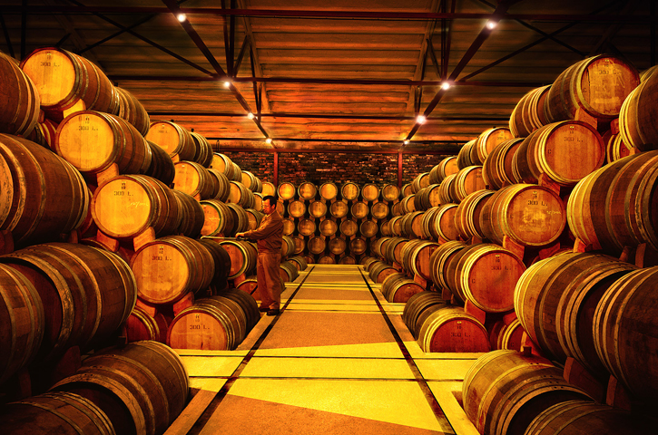 Elaboración de los primeros brandis