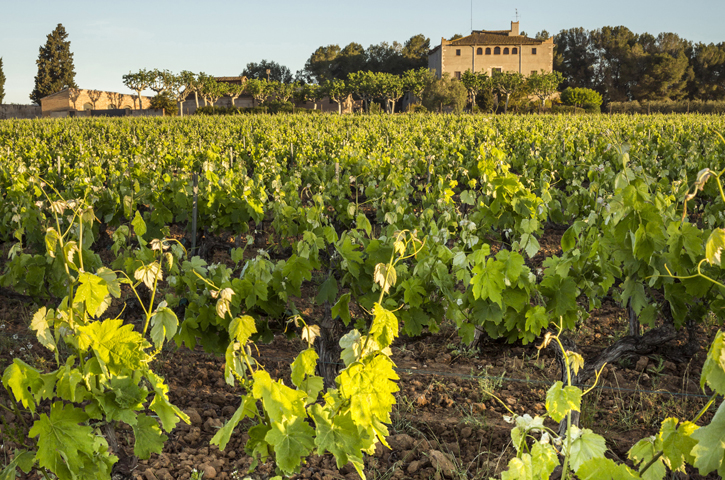 castell_de_la_bleda