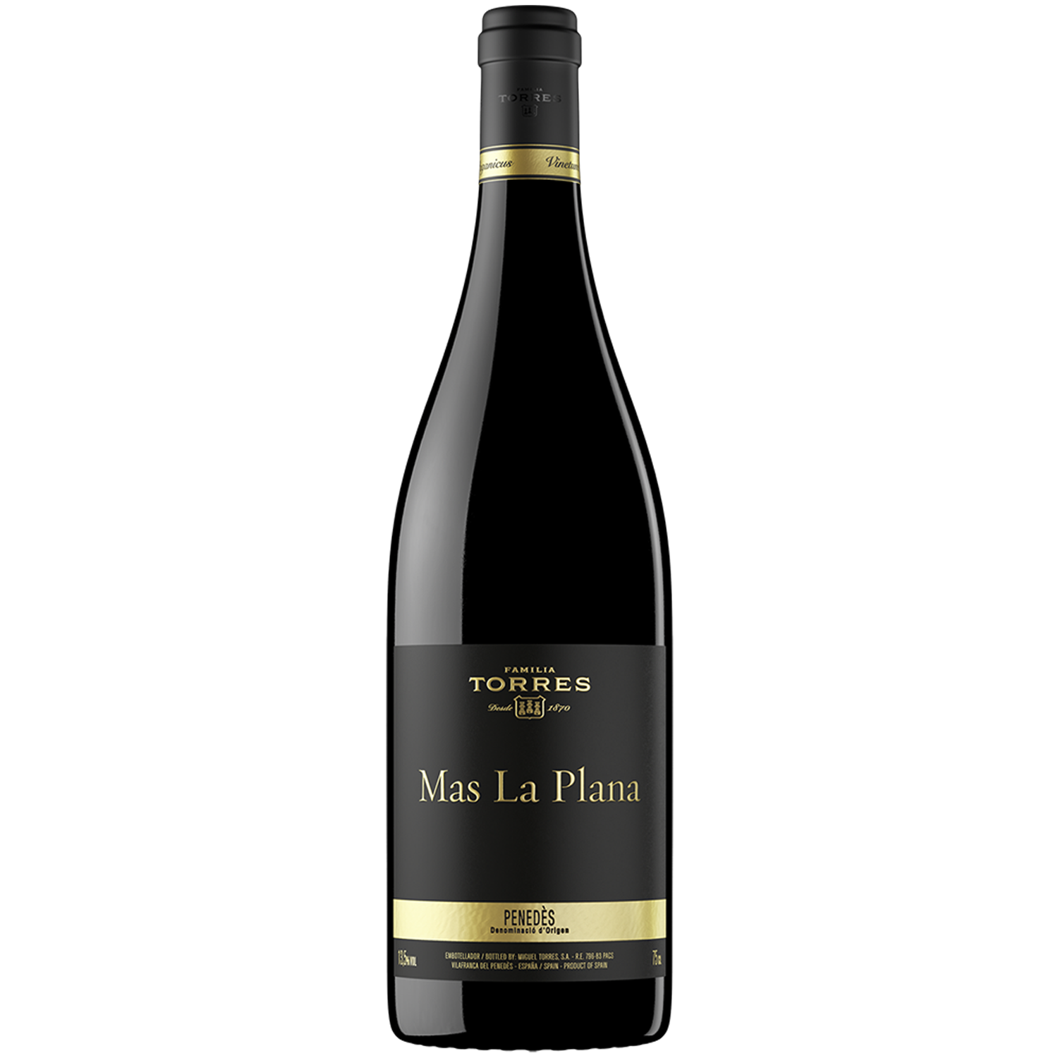 Mas la Plana