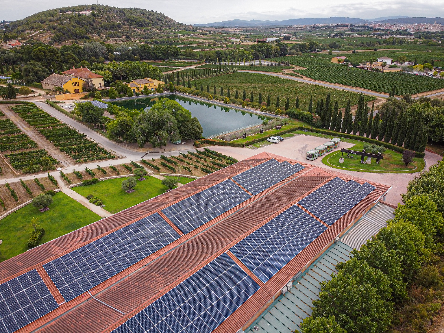 Paneles solares