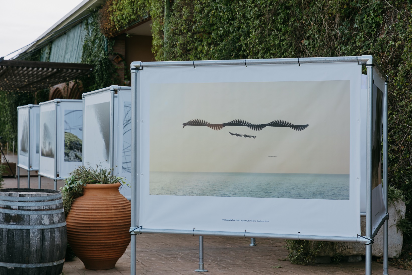 Exposición Xavier Bou