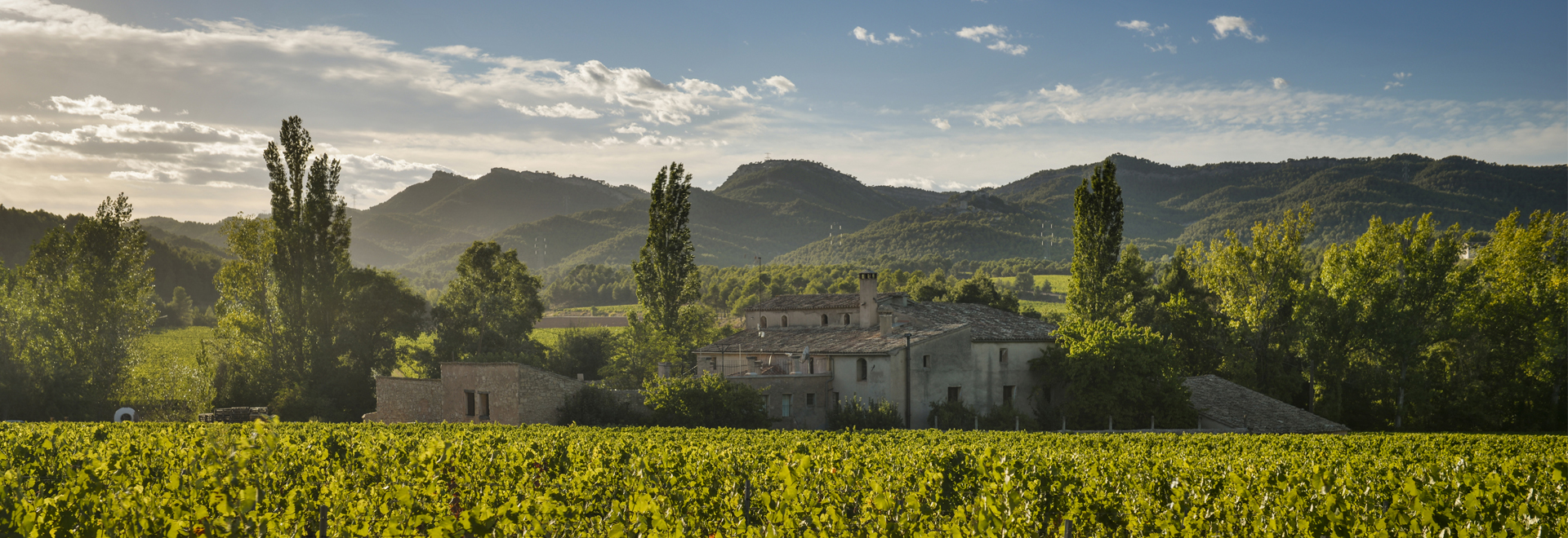 Clos Ancestral Blanco