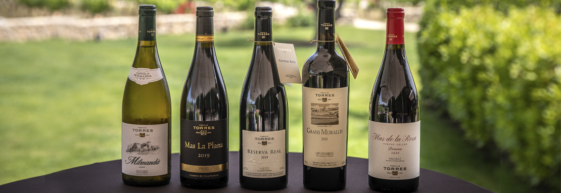Vinos AMT