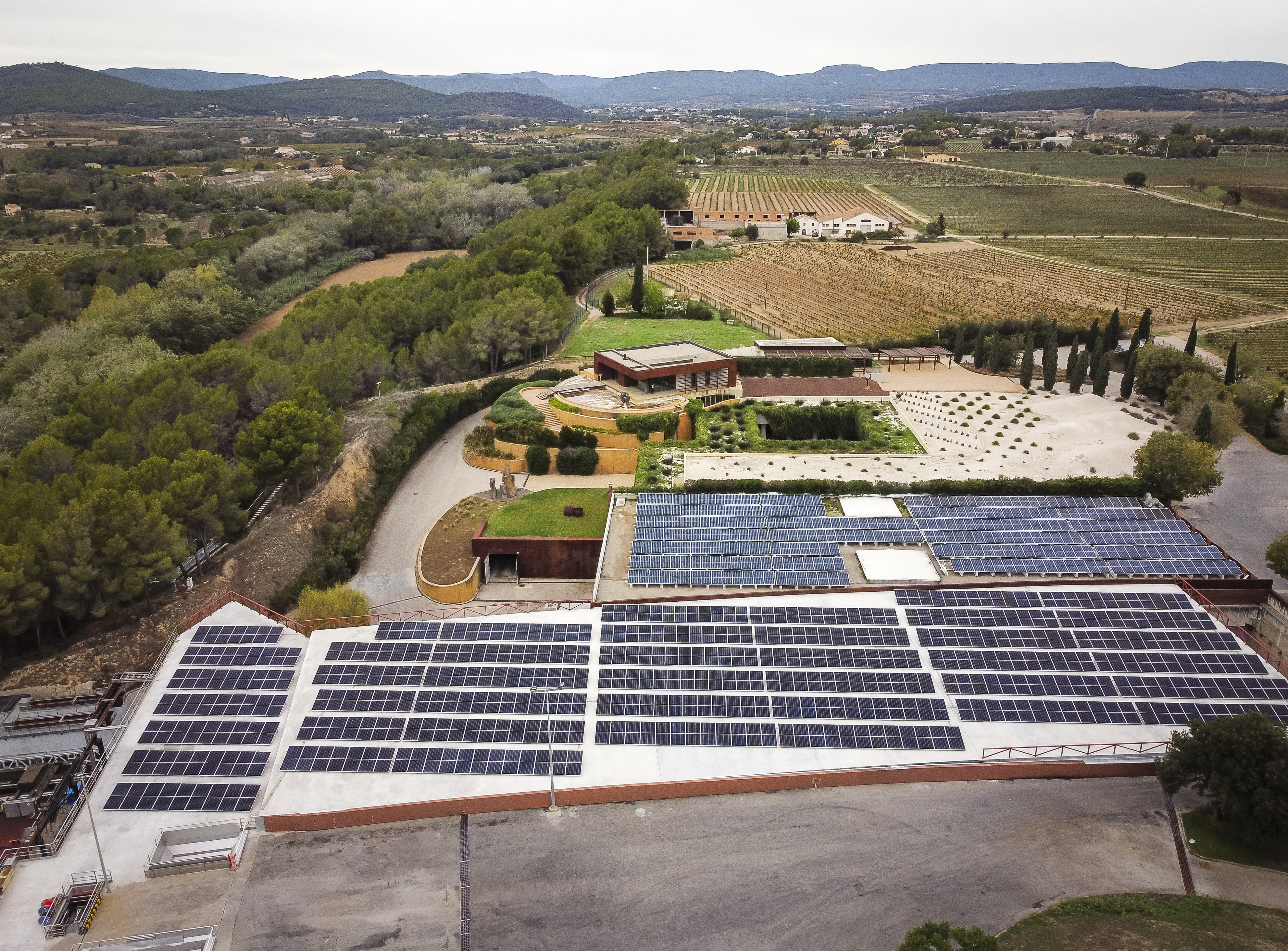 FAMILIA TORRES-Nuevo proyecto solar
