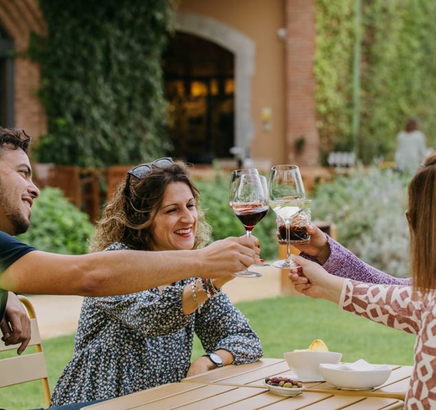 Imagen de un grupo de amigos brindando con una copa de vino