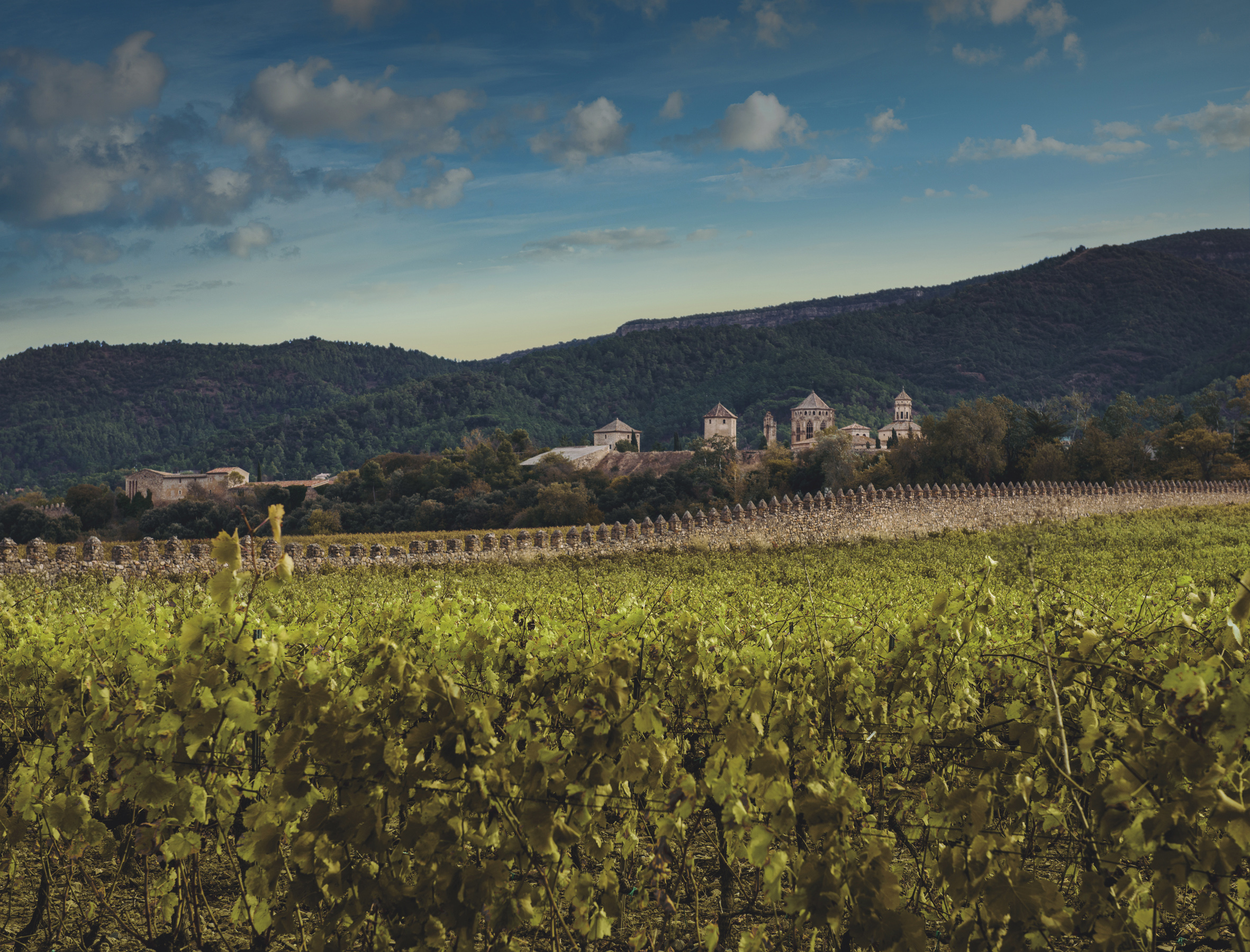 Finca Grans Muralles