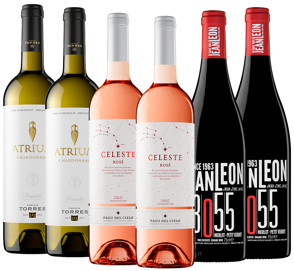 Colección Bronze Verano 2025