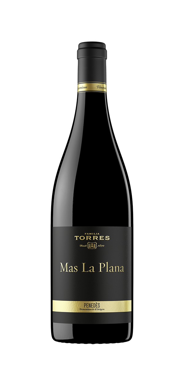 Mas La Plana