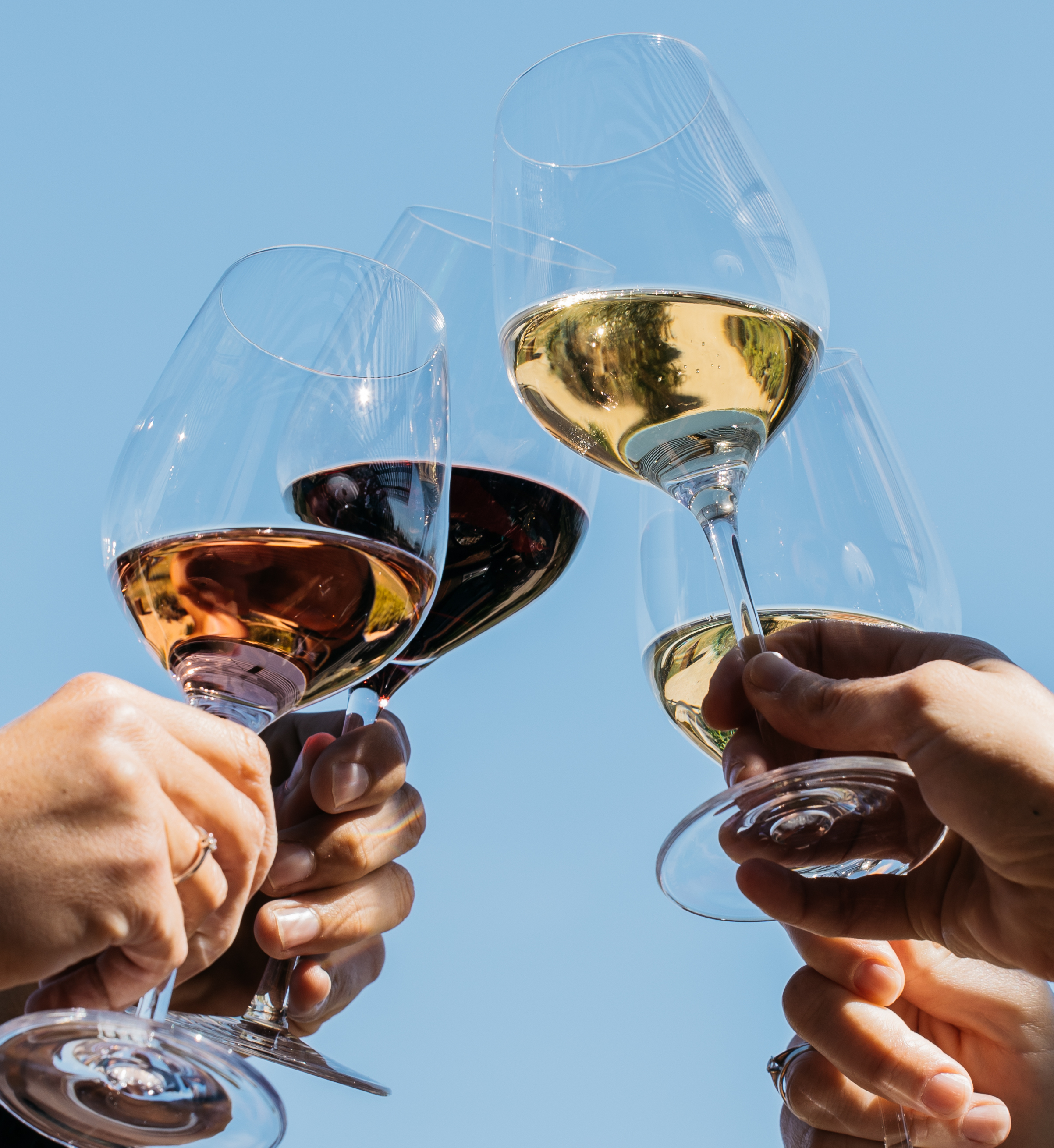 Tast de vins