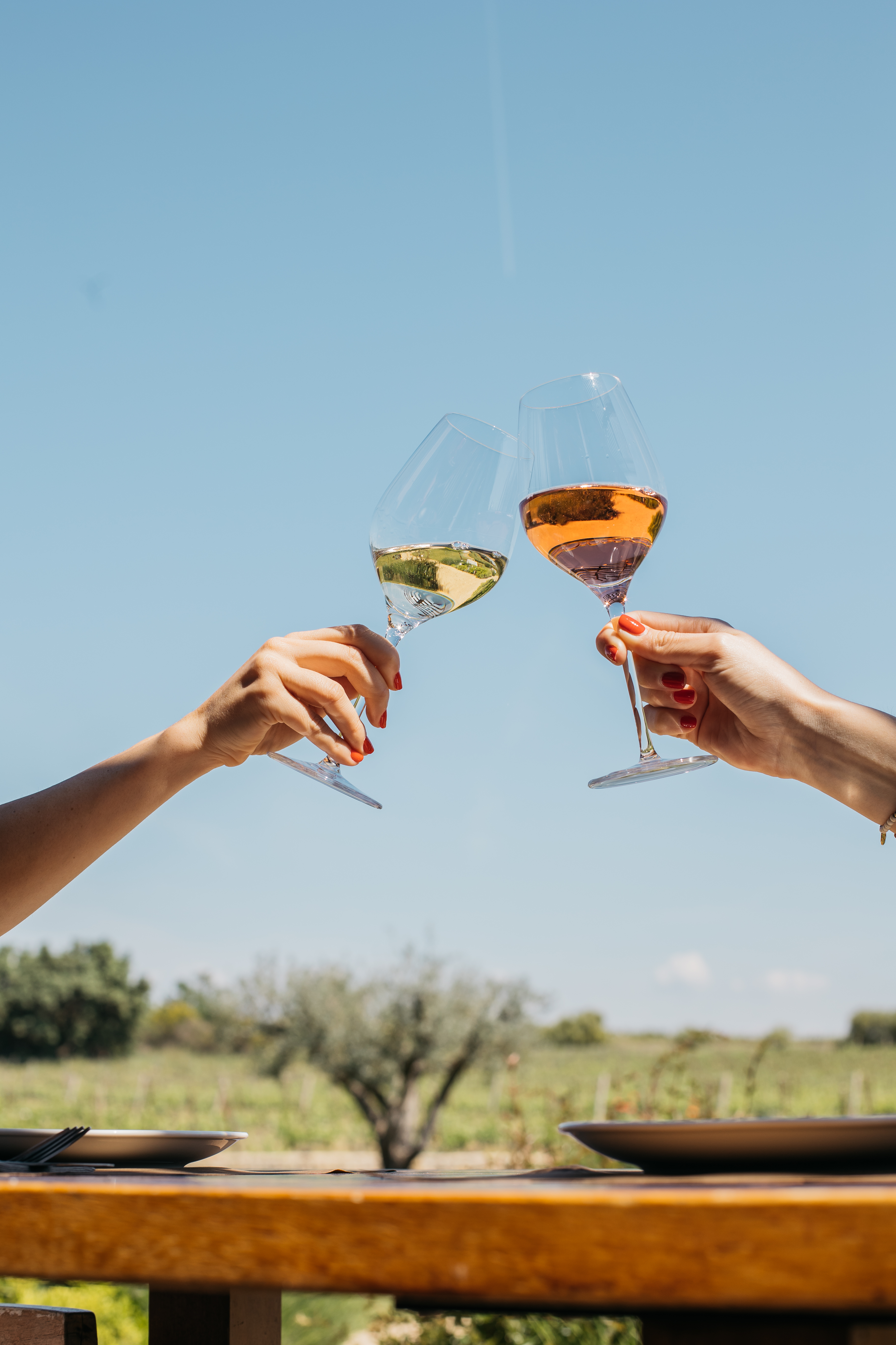 Tast de vins