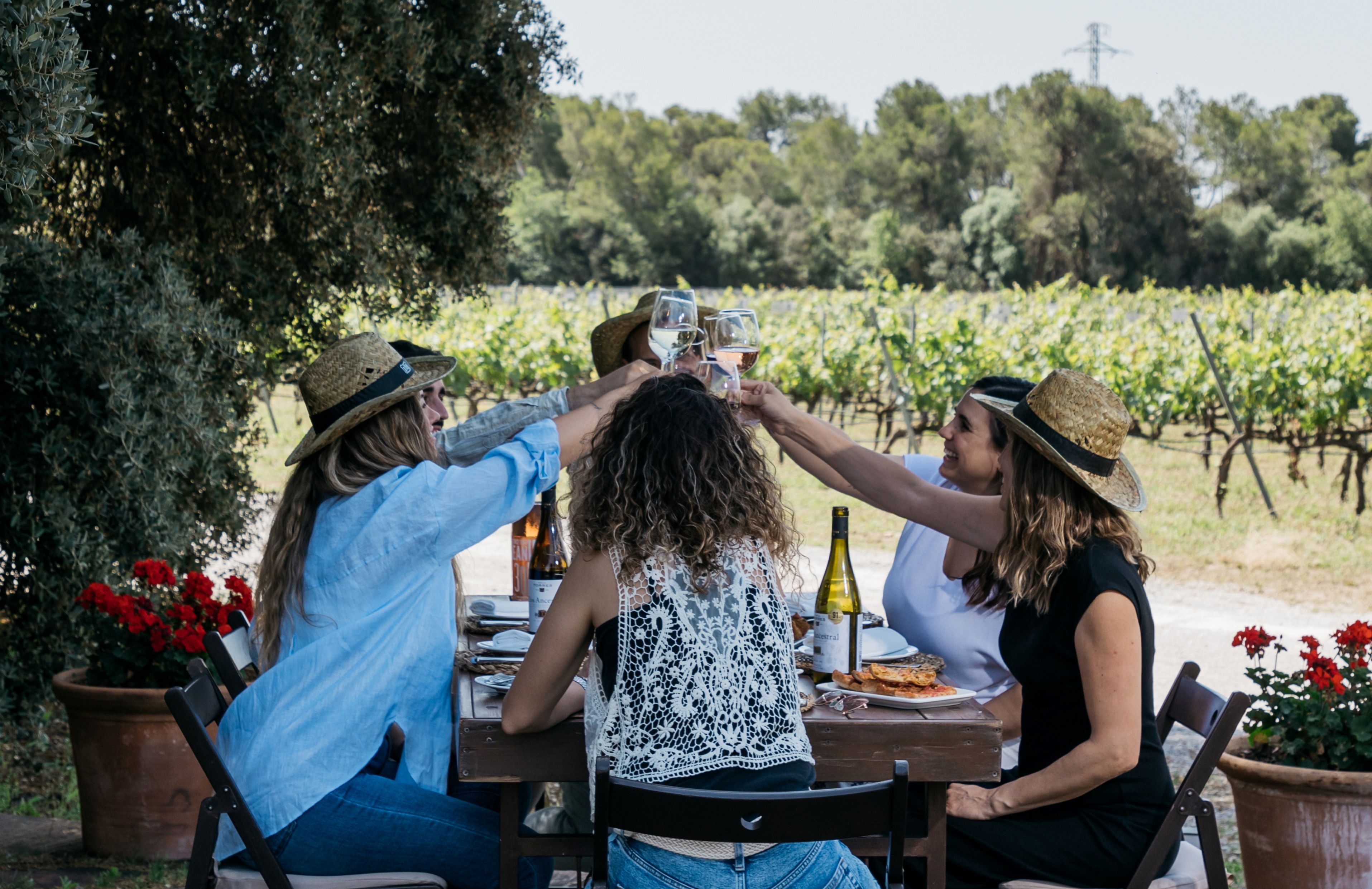 Festa verema El Celleret Familia Torres Penedès