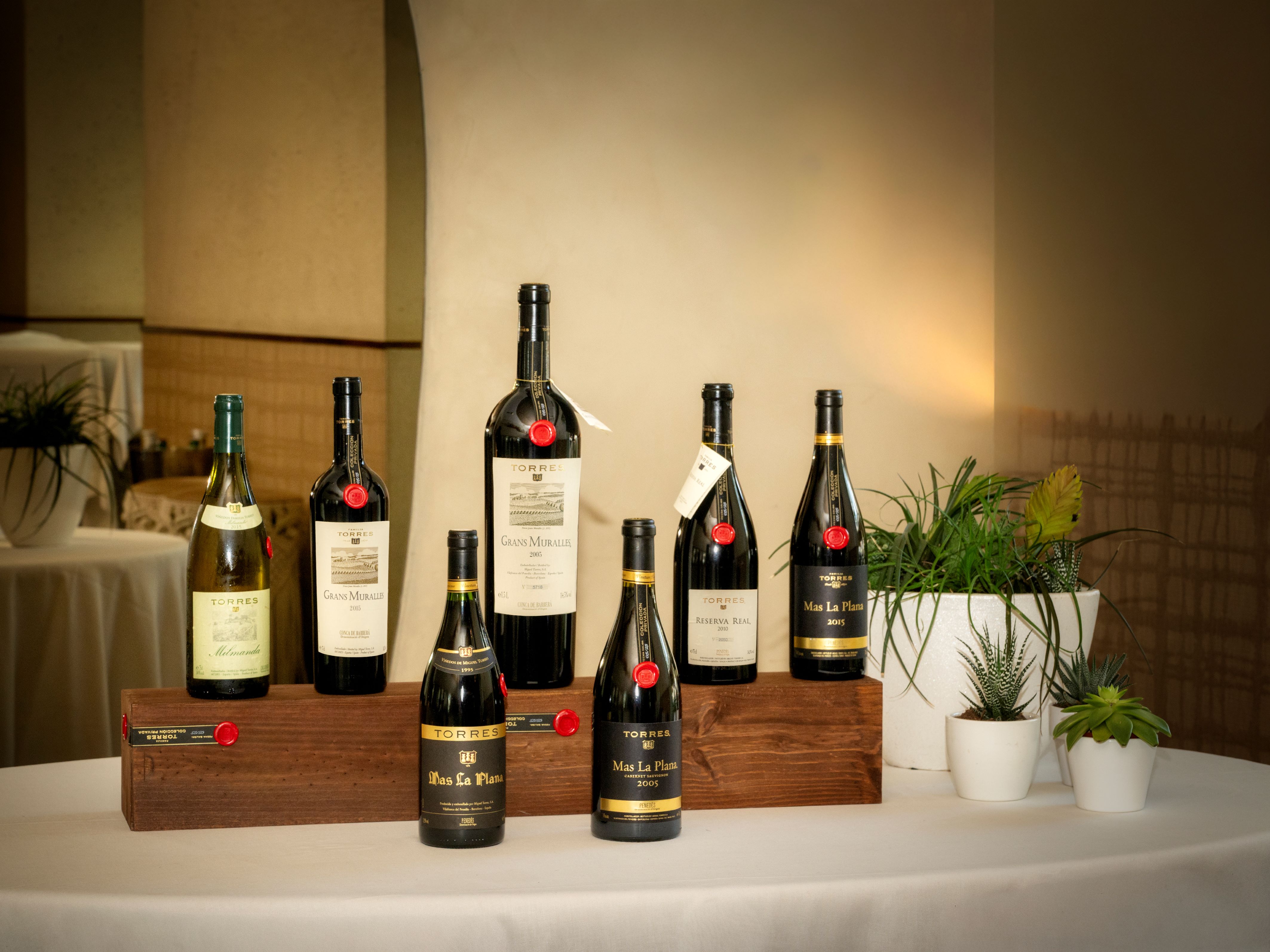 Familia Torres Colección Privada