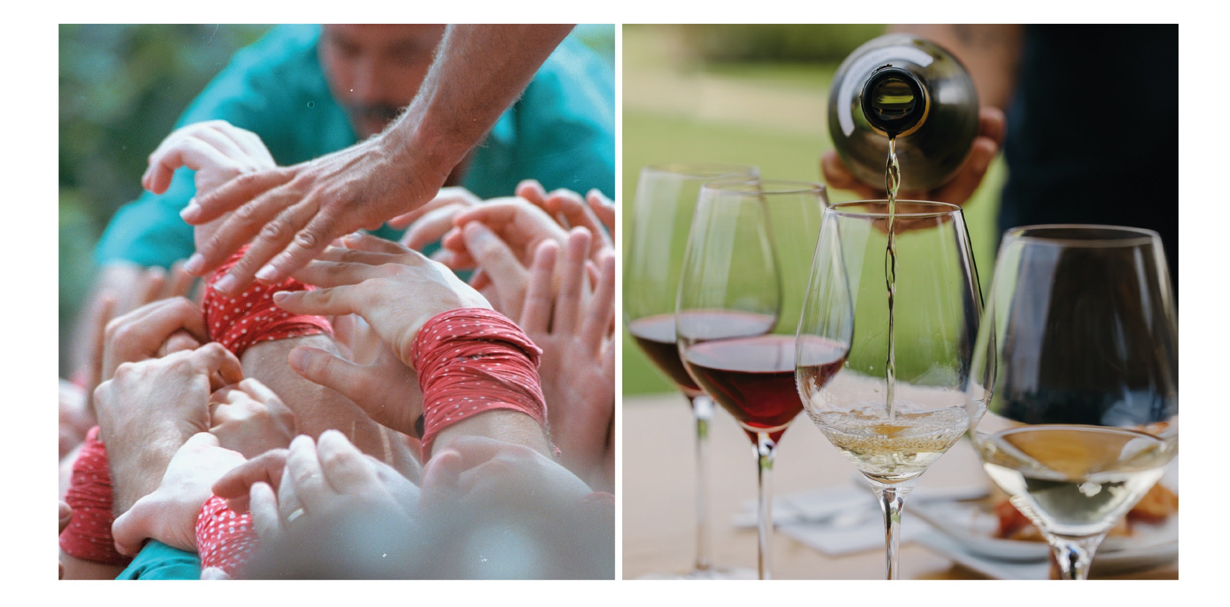 Taller casteller i tast de vins