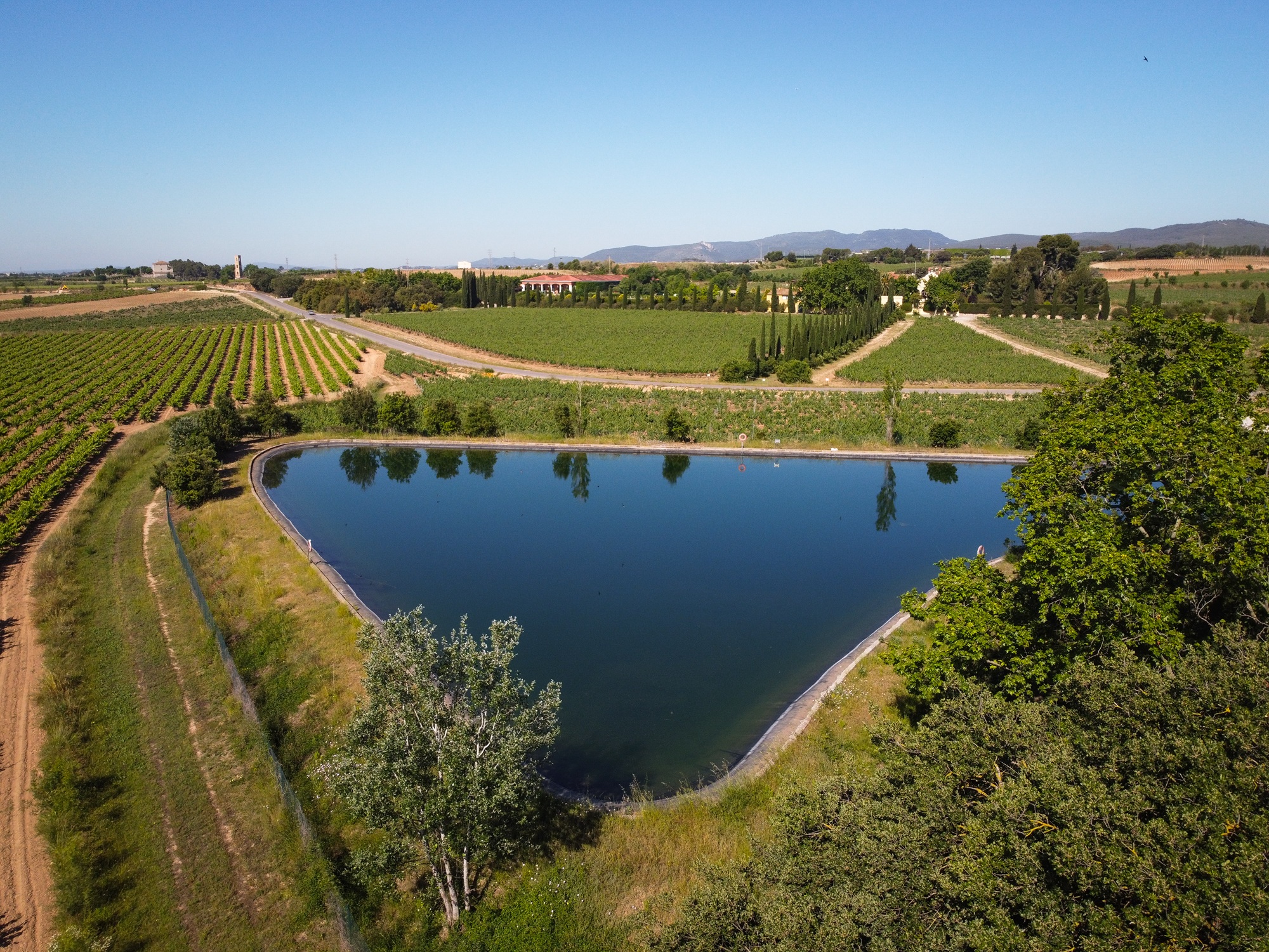 Balsa riego Mas La Plana secundaria