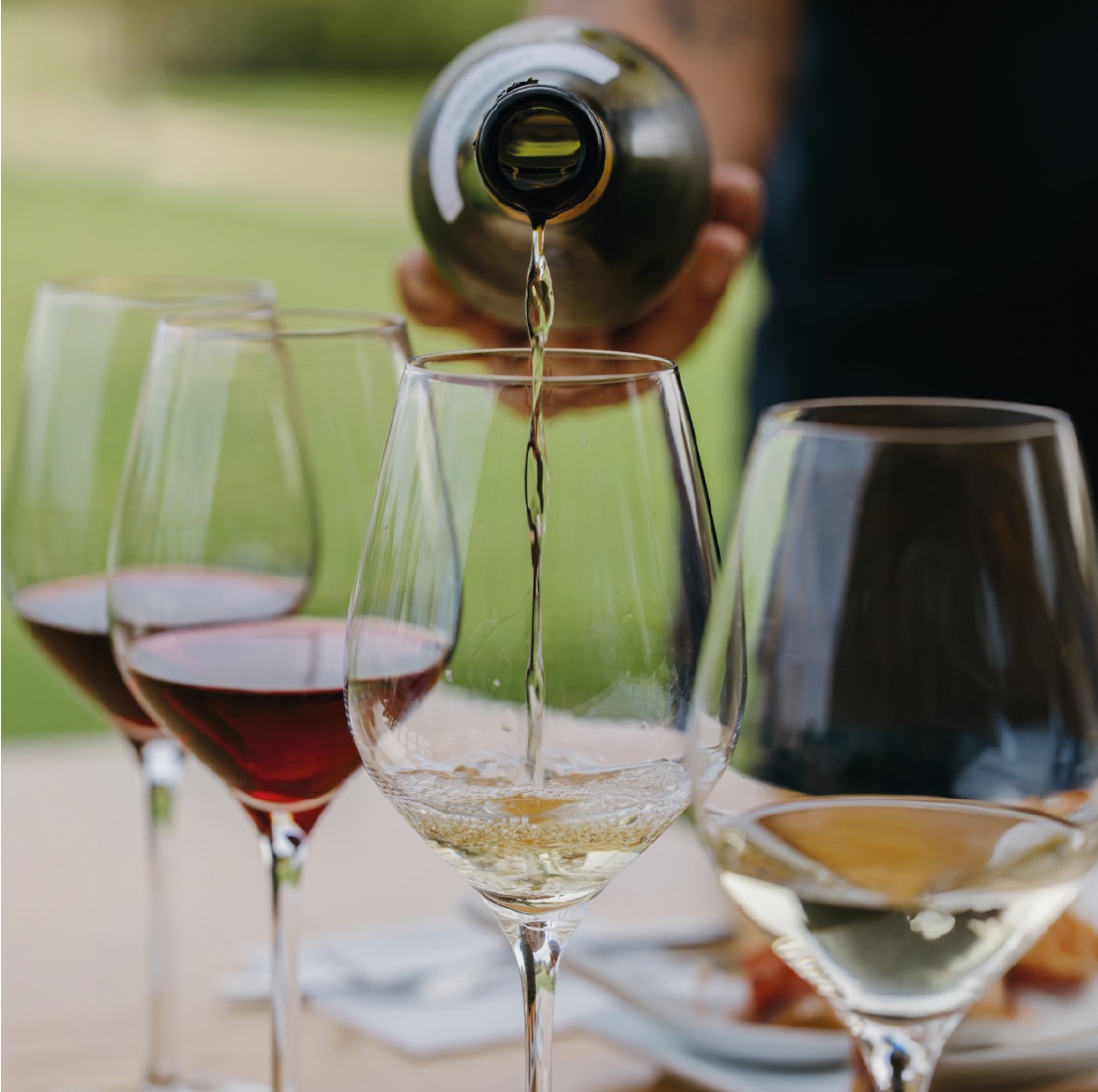 Tast de Vins de Família Torres