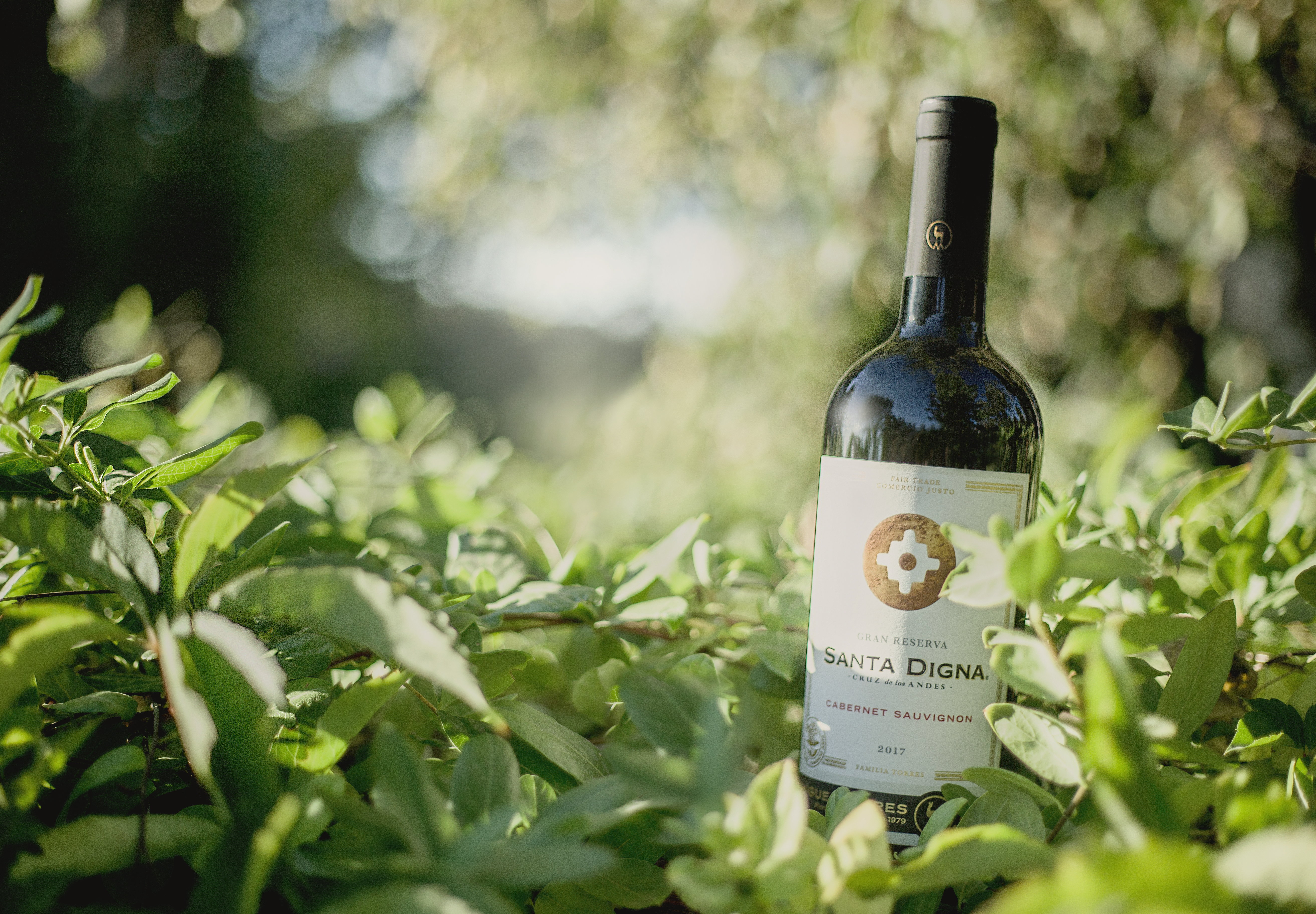 Santa Digna Cabernet Sauvignon