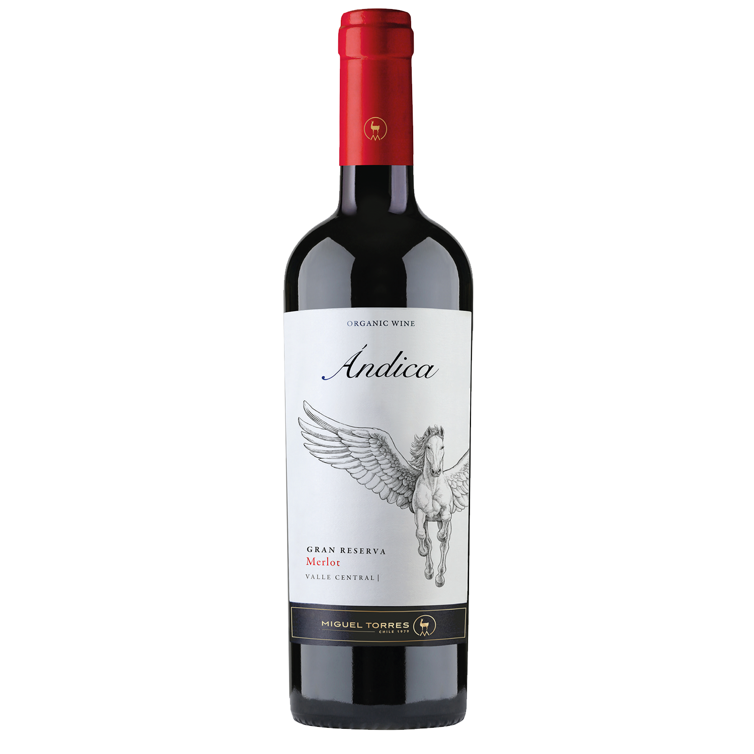 Anica Merlot