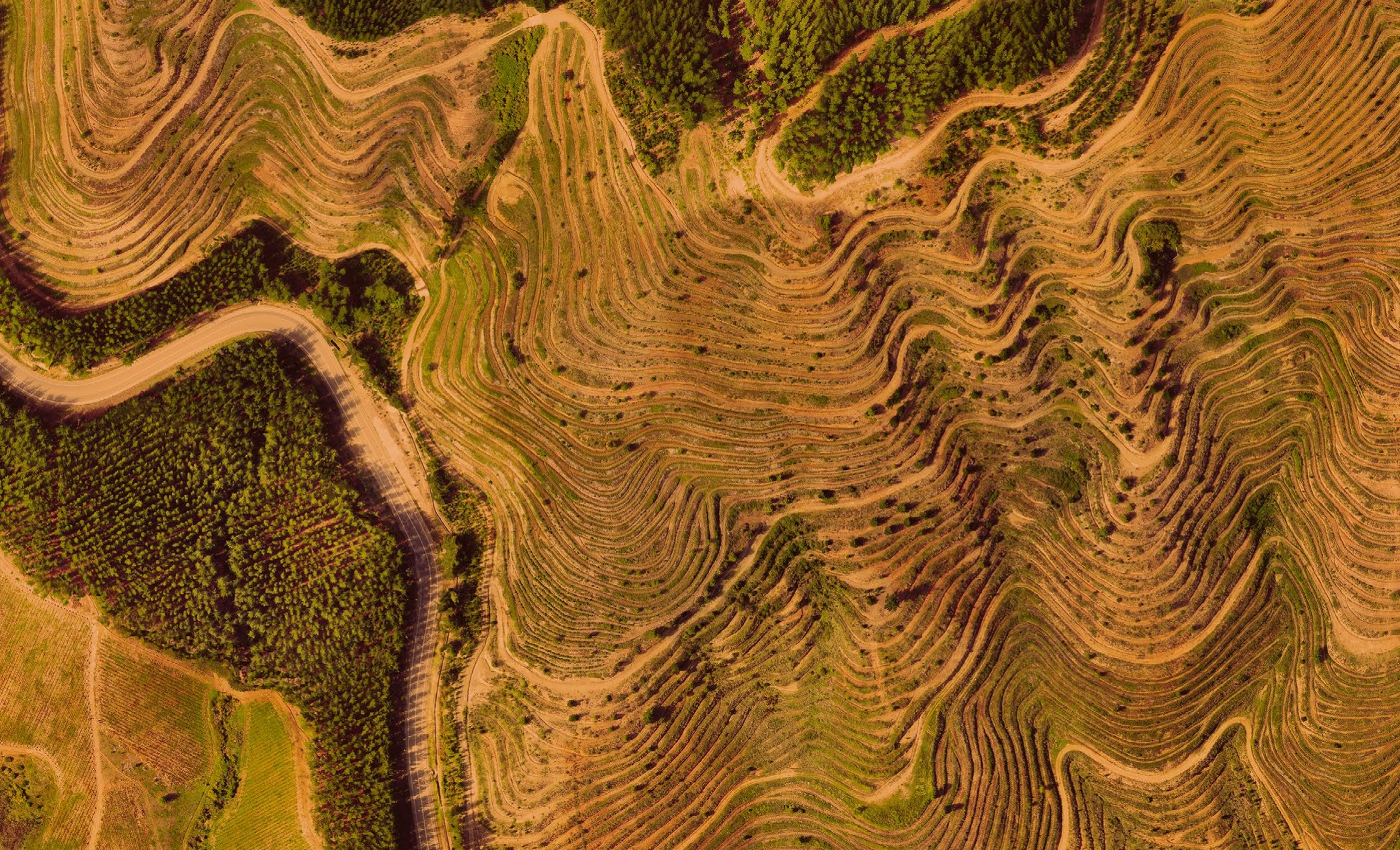 Escalera de empedrado