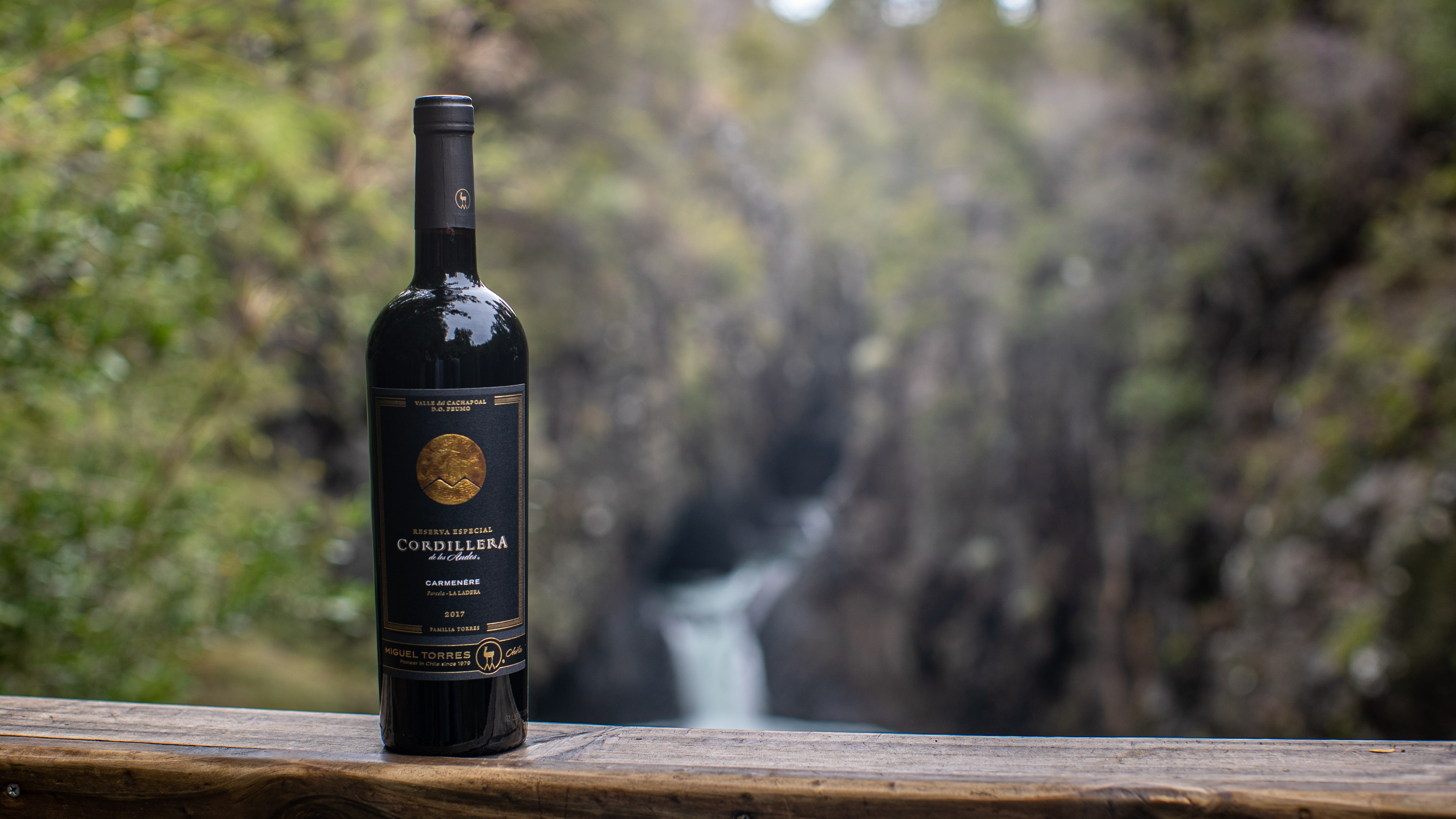 Cordillera Carmenere