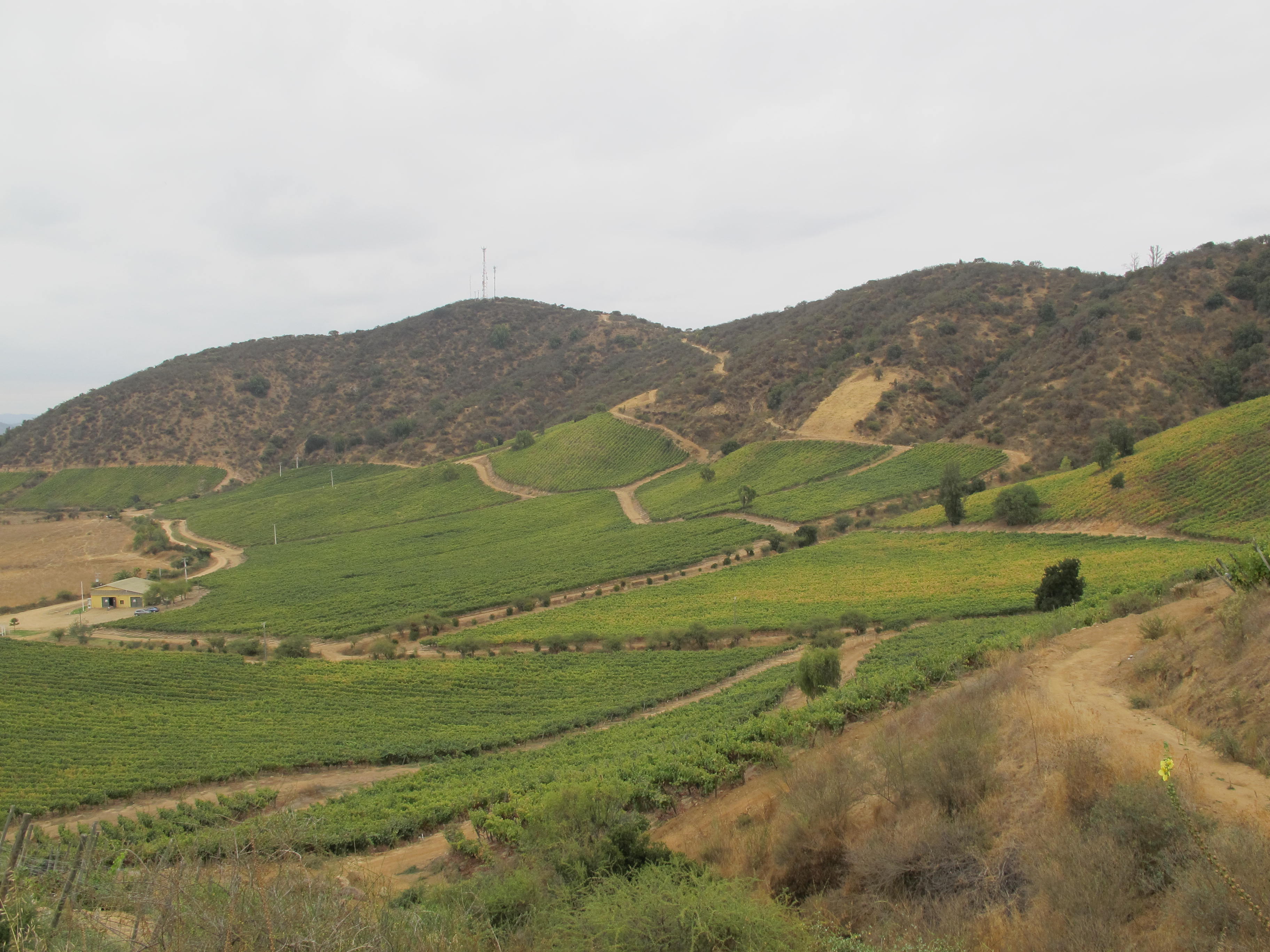 Valle de Cachapoal