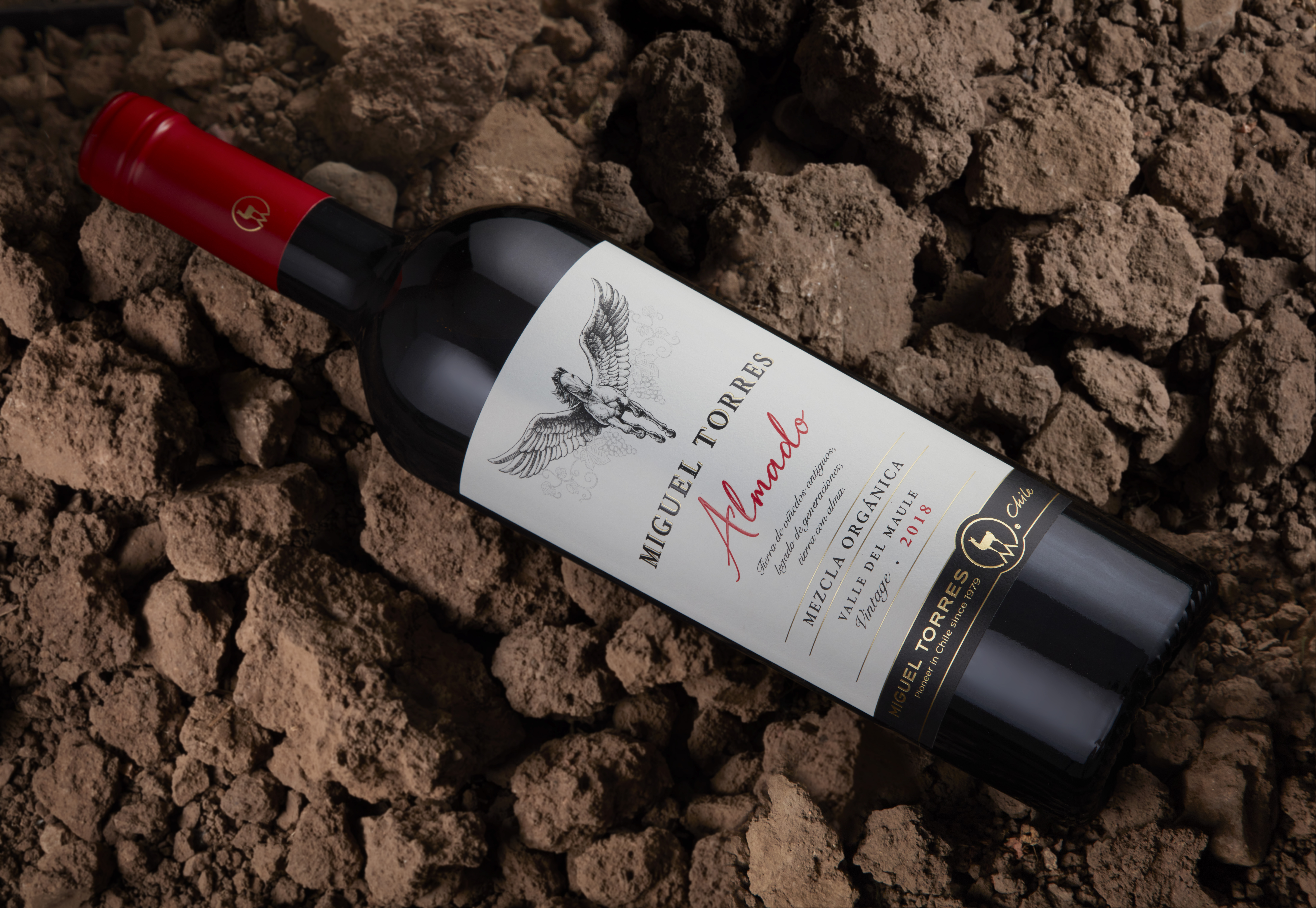 Almado Miguel Torres