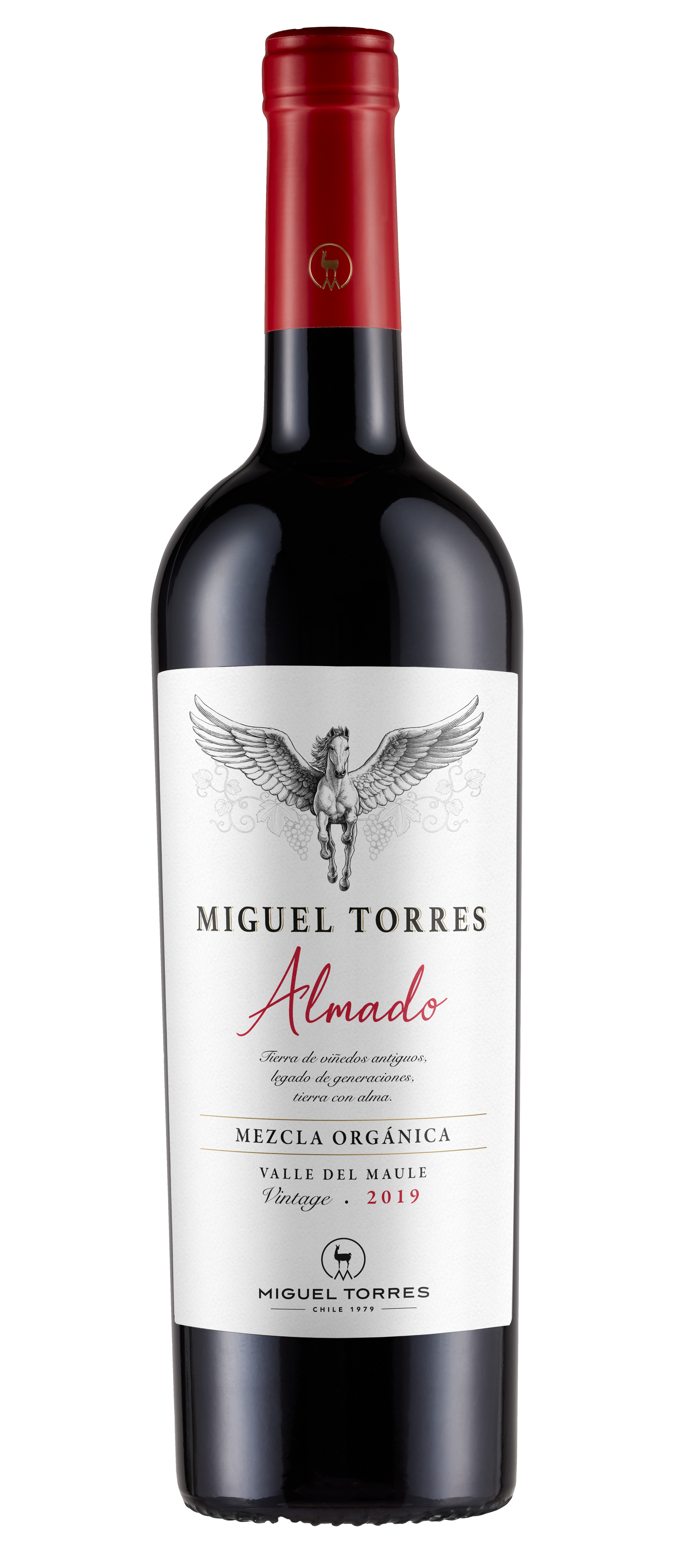 Almado Miguel Torres