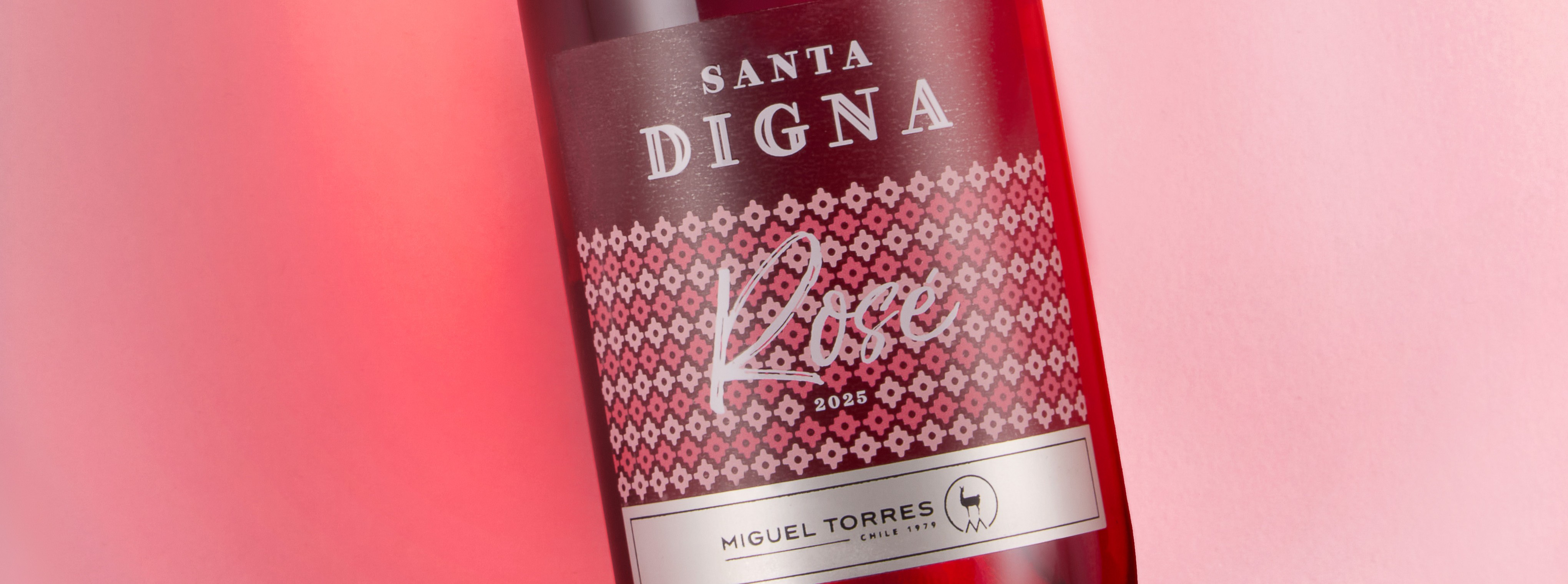 Santa Digna Rose