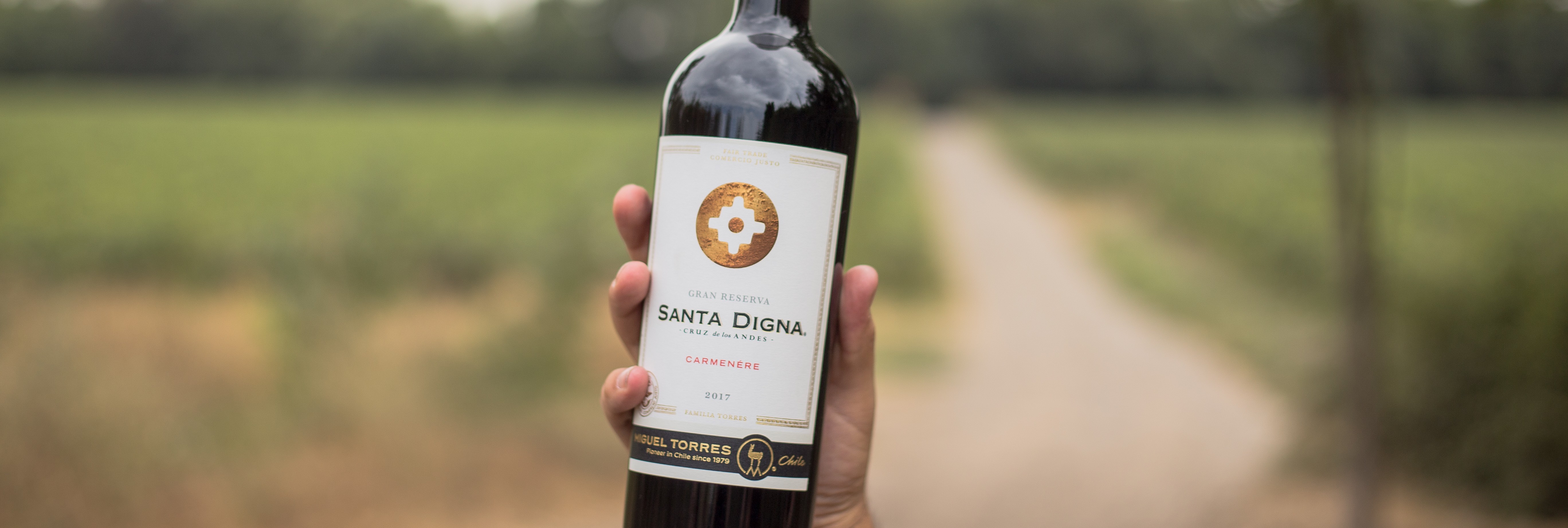 Santa Digna Carmenere