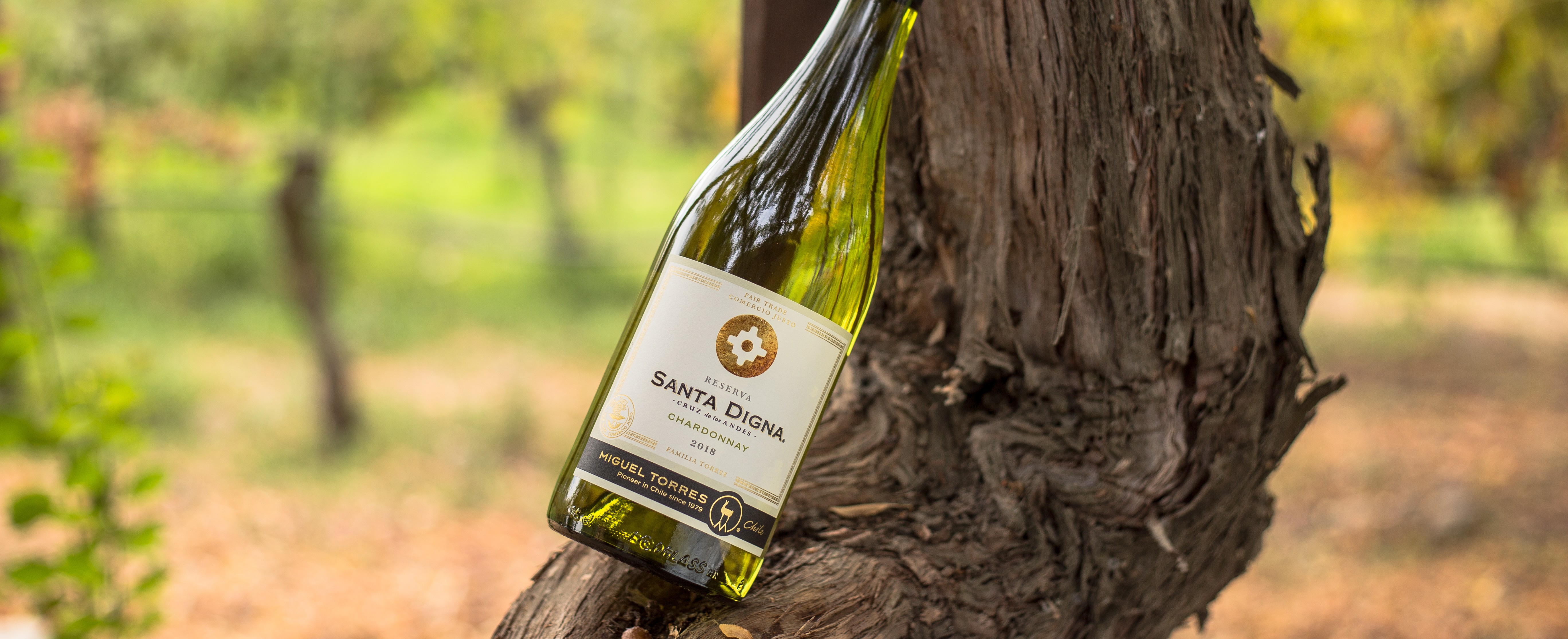 Santa Digna Chardonnay