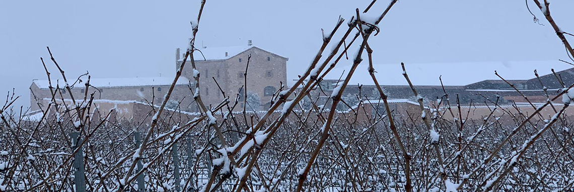 banner sonidos invierno