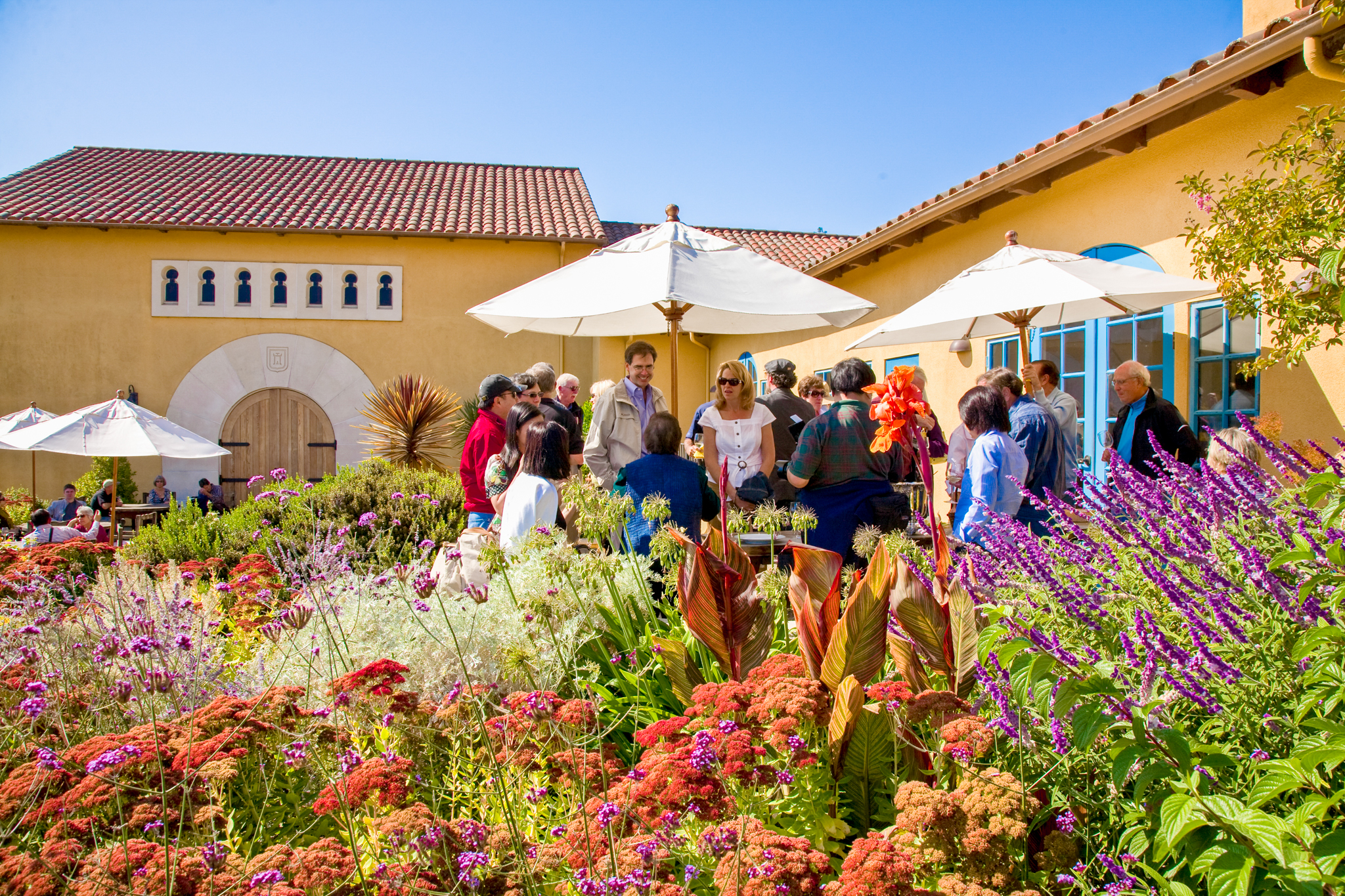 Bodega Marimar Estate