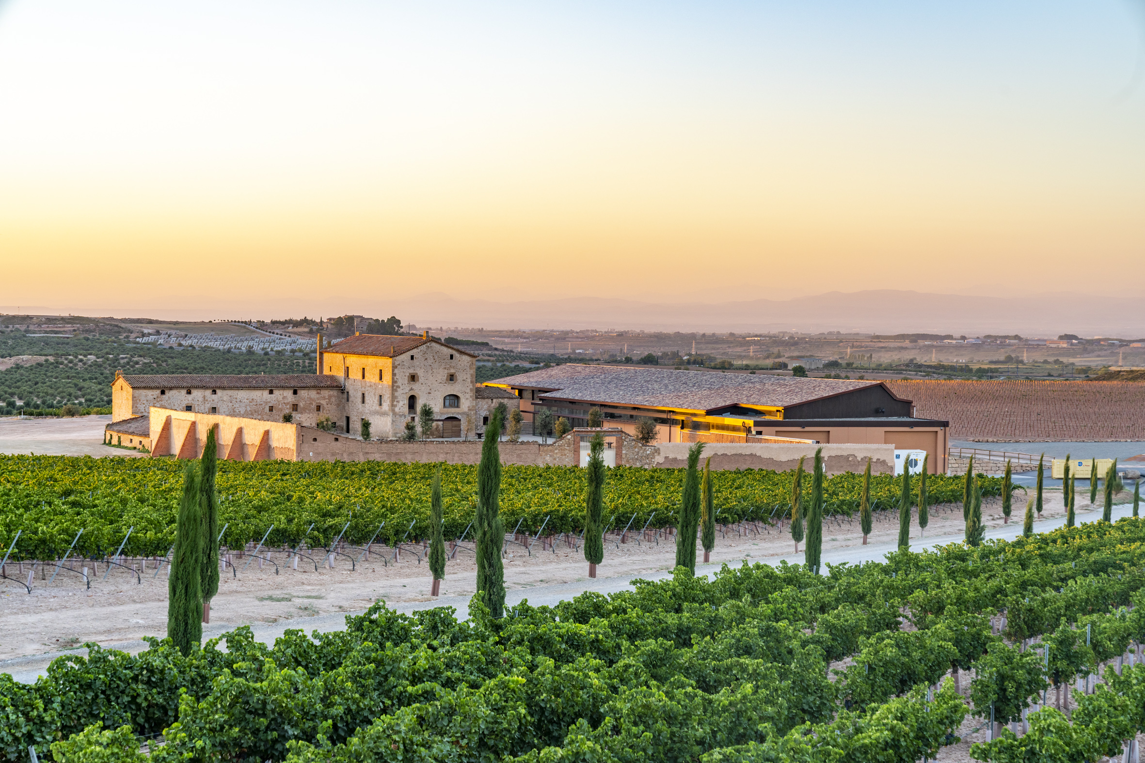 Bodega Purgatori - copyright: Sara Matthews