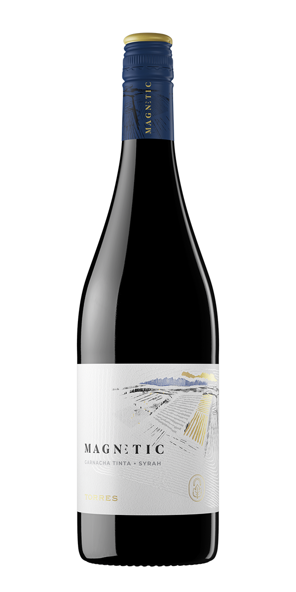 Magnetic Tinto