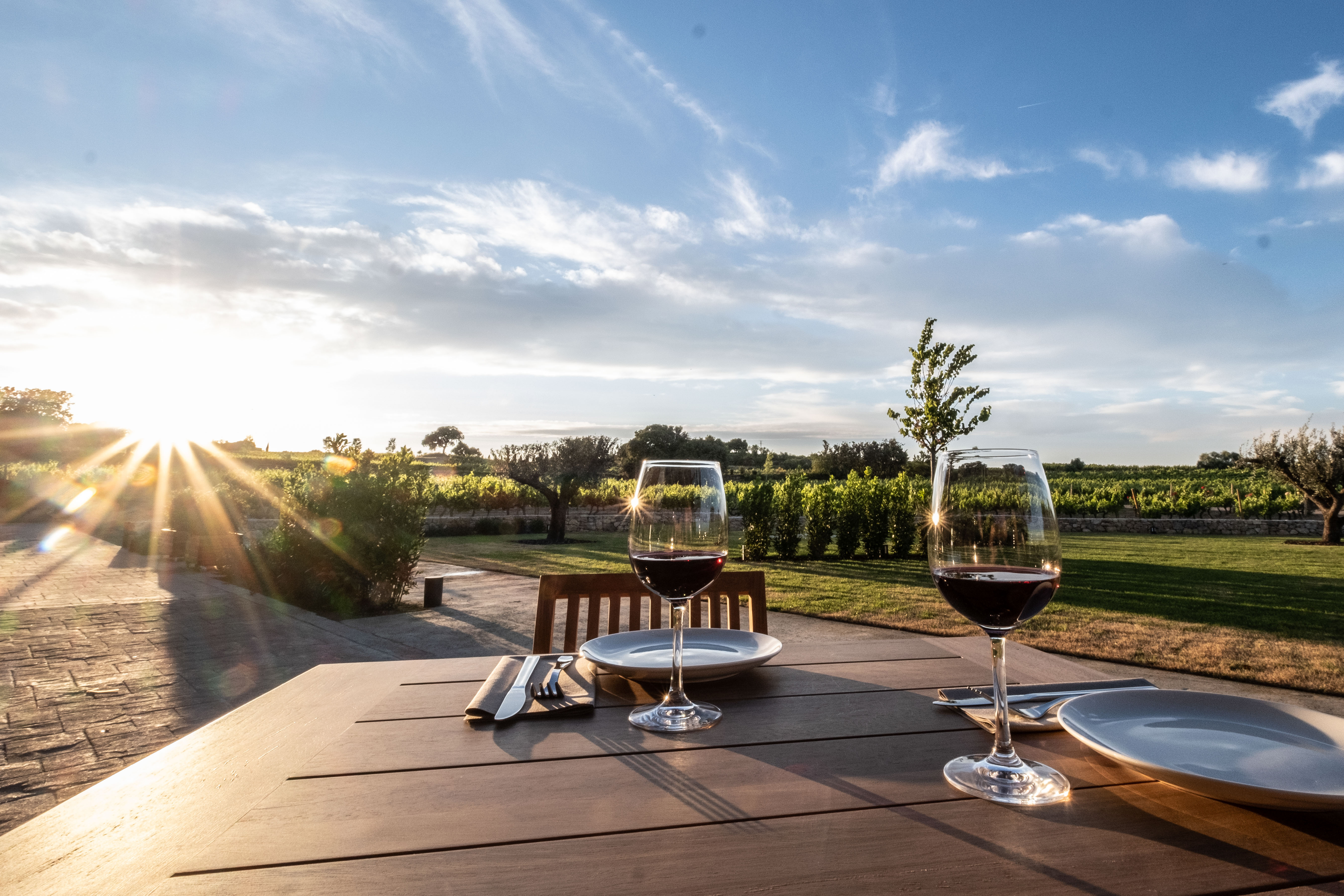 Tast de vins