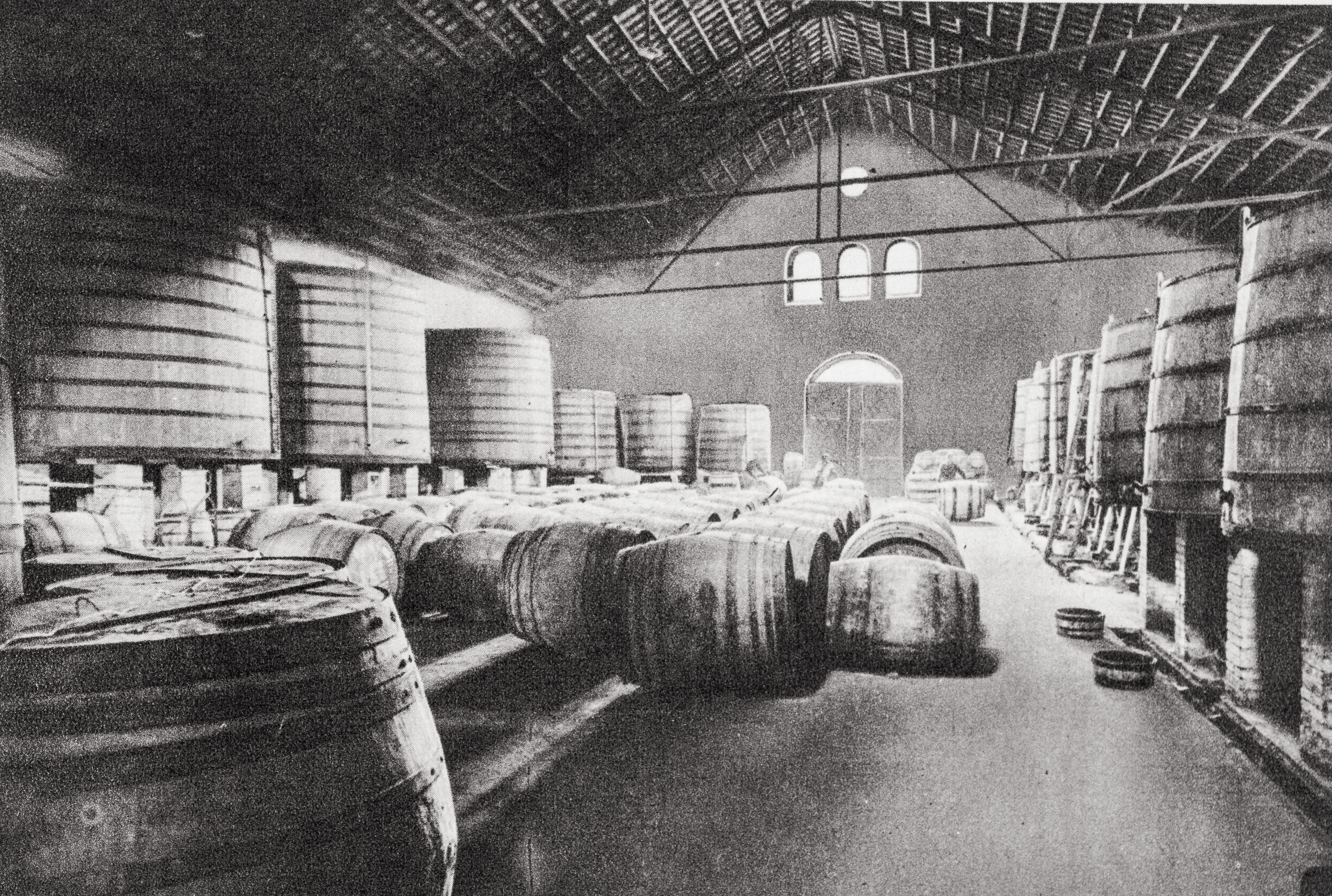 Década de 1930. Nave para la crianza de los vinos en la bodega de Vilafranca del Penedès, con barricas de 225 litros y conos o grandes cubas de madera de 125.000 litros de capacidades.