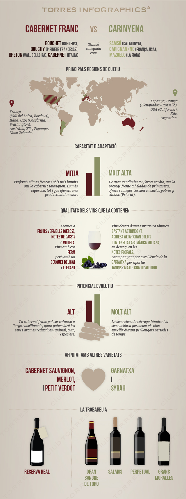 cabernet franc vs cariñena