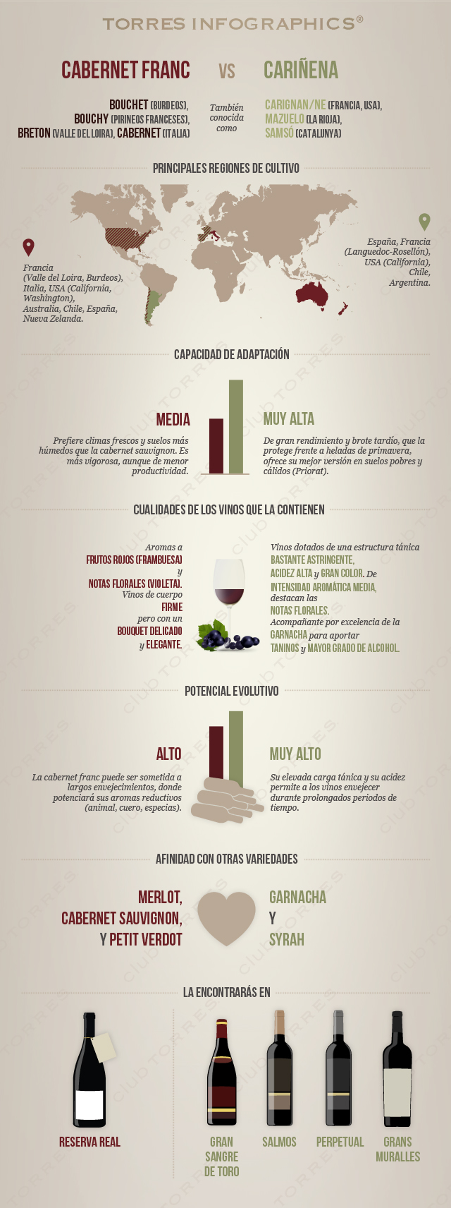 Cebernet Franc vs Cariñena