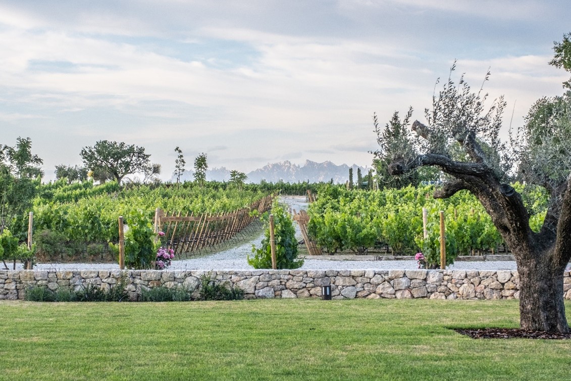 Centro de visitas de Familia Torres en Pacs del Penedès.