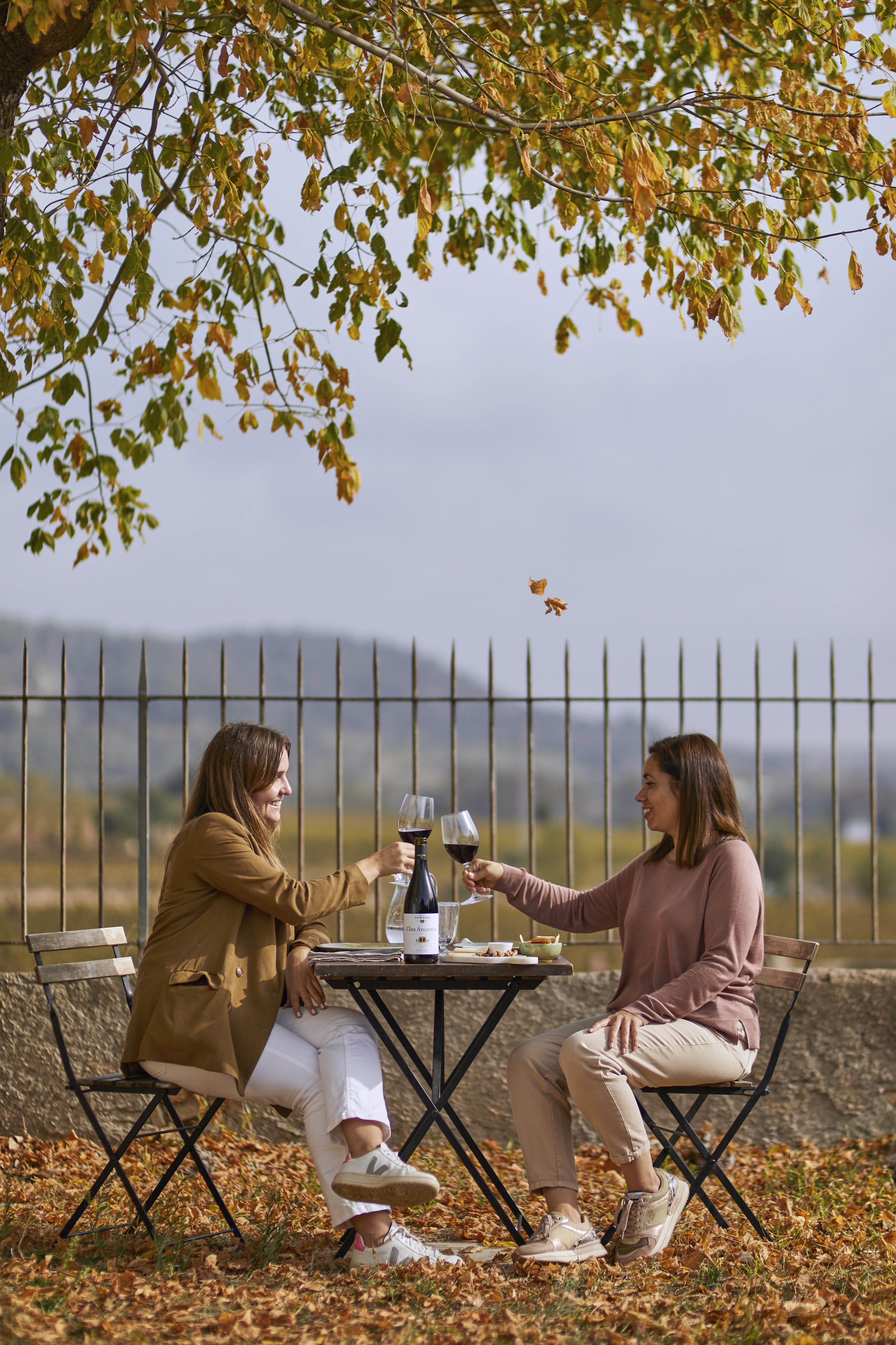 Comida de otoño en el aire libre disfrutando de una copa de vino tinto. 