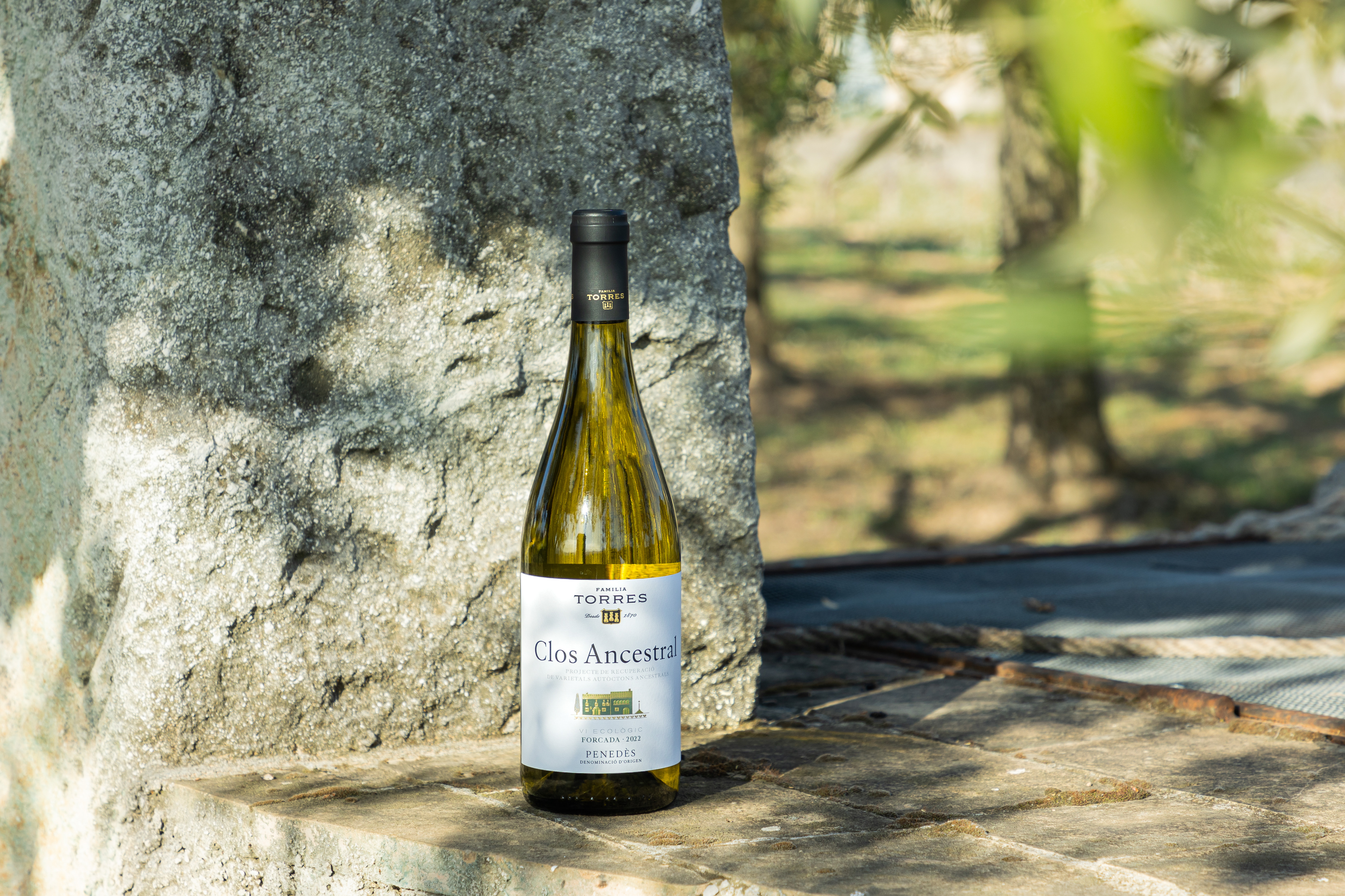 Clos Ancestral Blanco