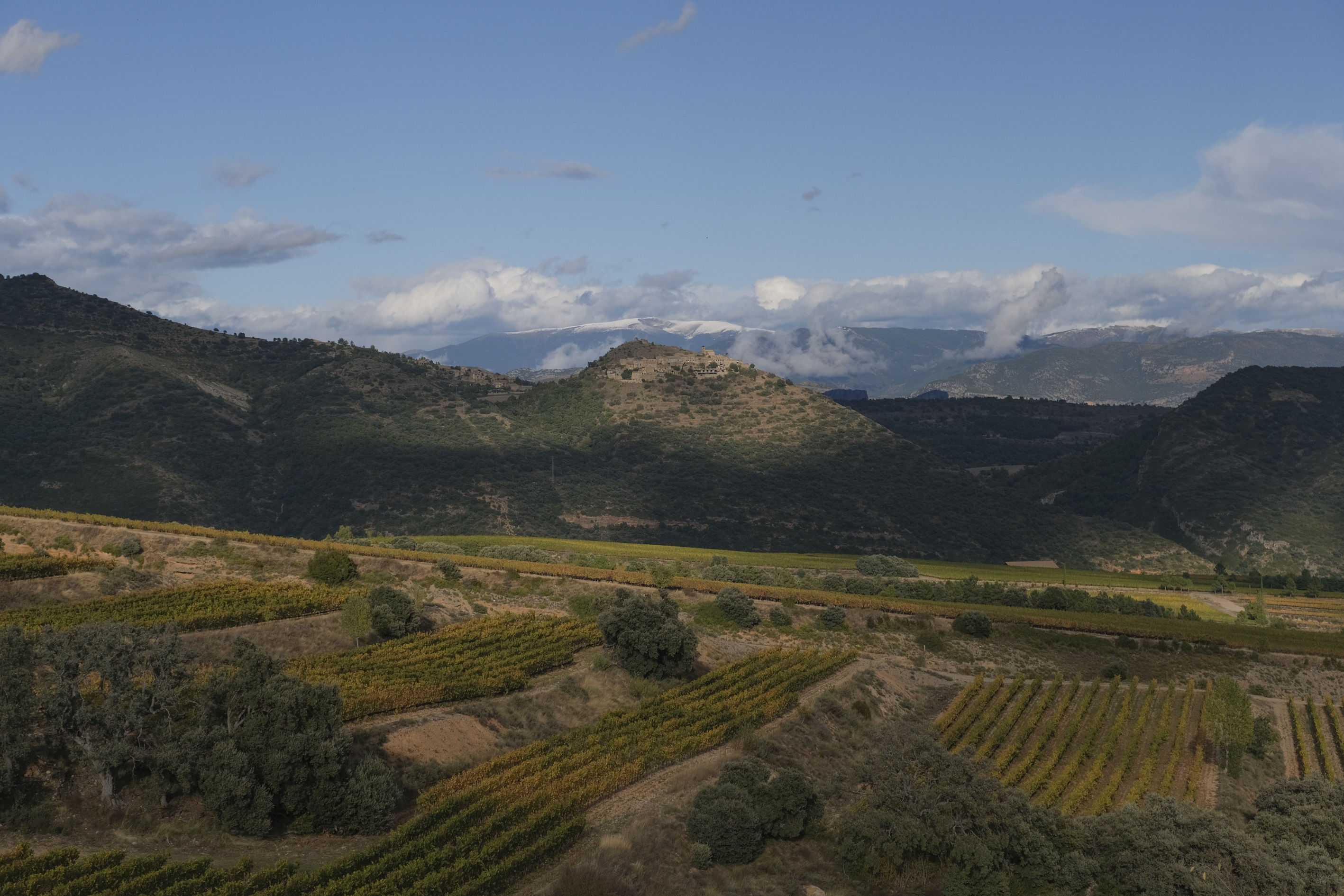 Finca Sant Miquel de Tremp, propiedad de Familia Torres. 