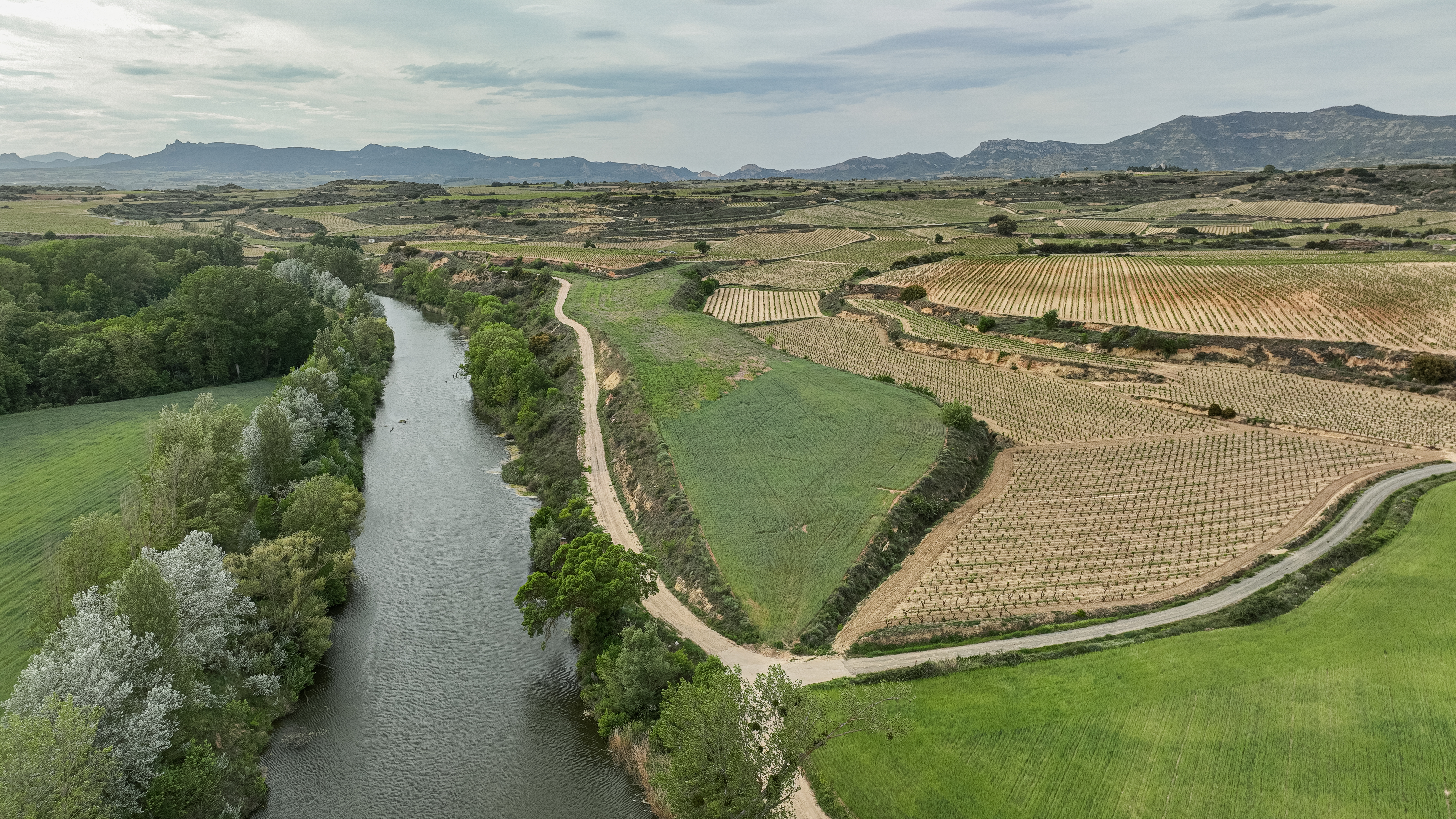 Imagen del río Duero, en su paso por la DOCa Rioja