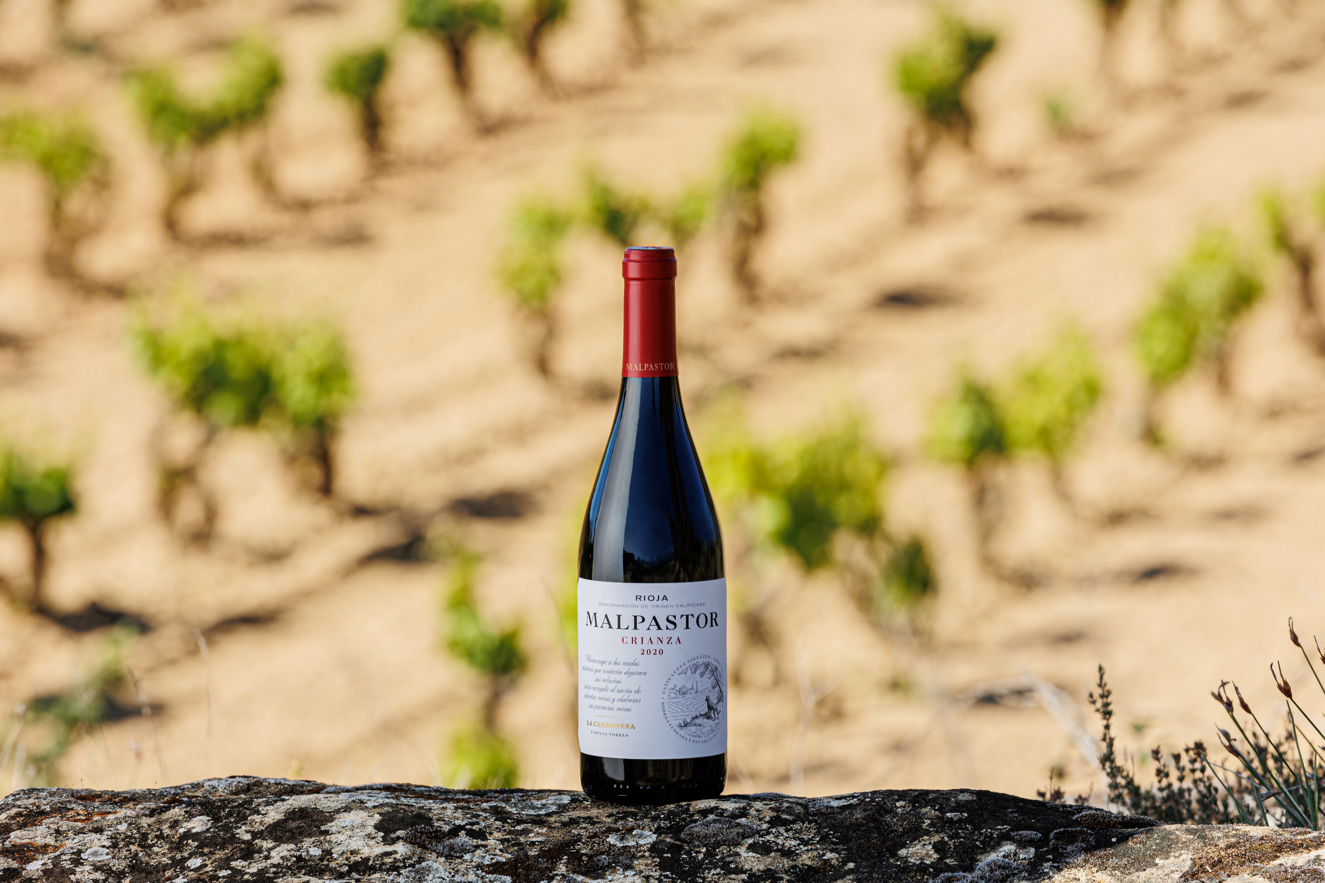 Imagen del vino Malpastor, propiedad de Familia Torres, enfrente de los viñedos donde nace. 