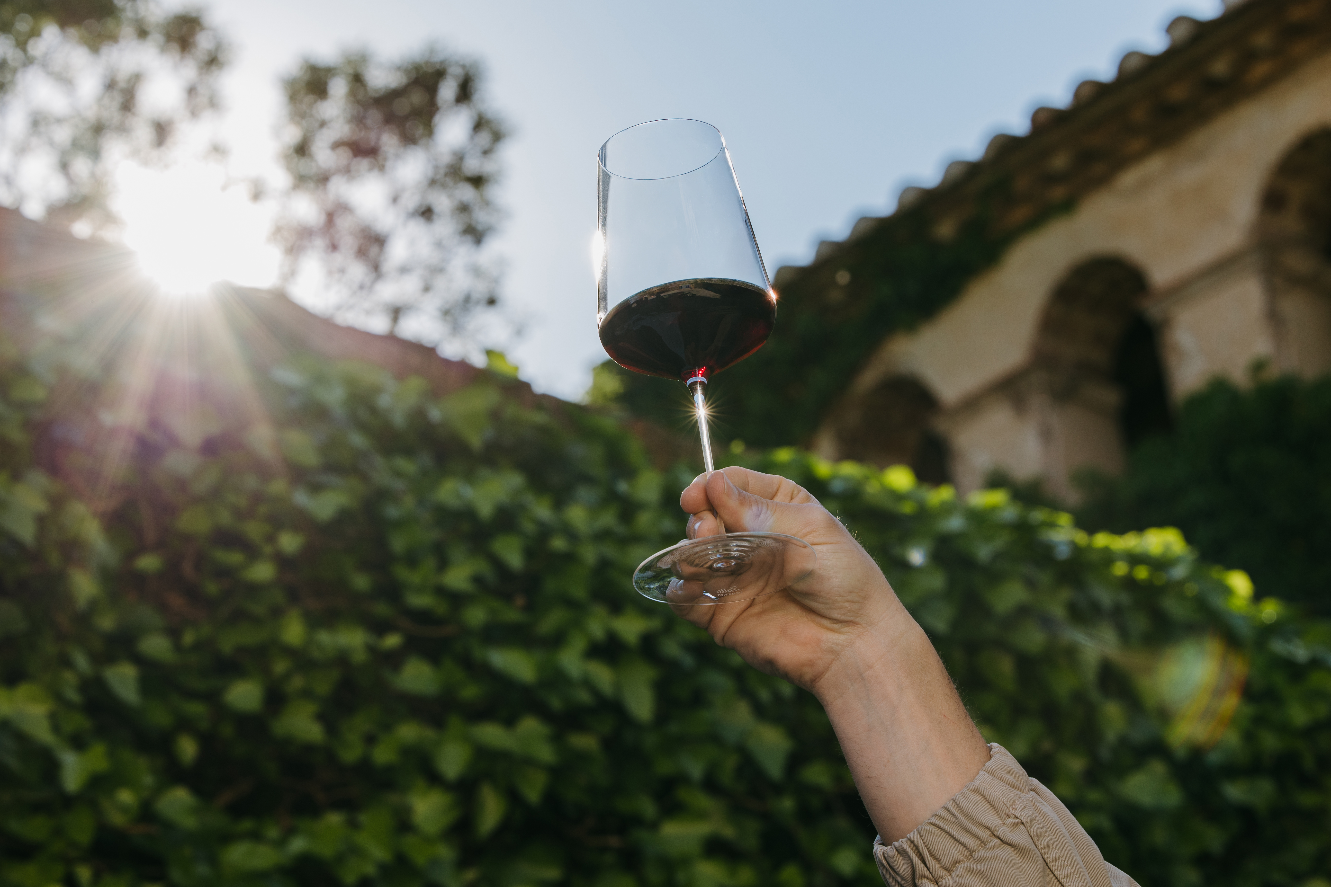Consejos para iniciarse en el mundo del vino