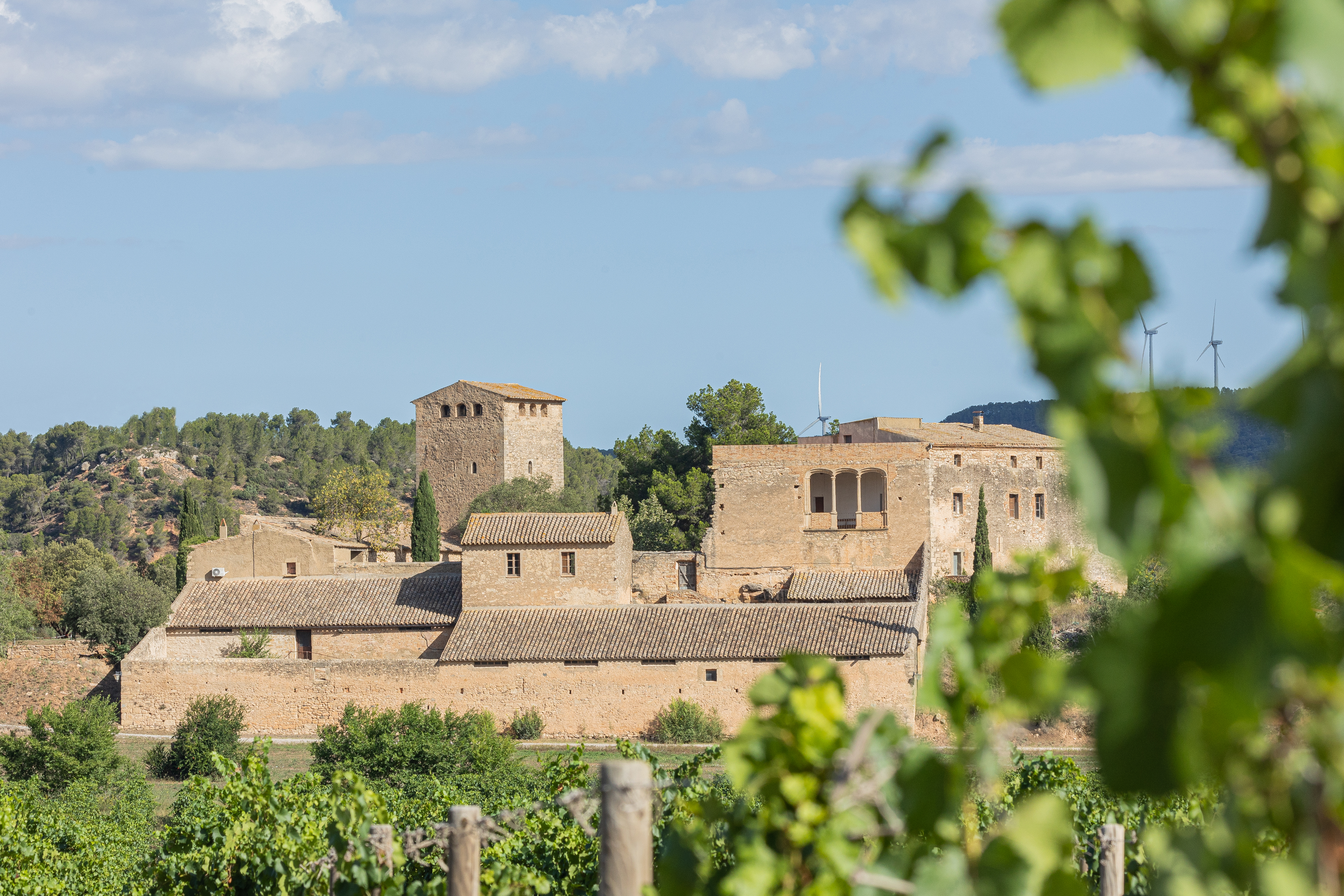El castillo de Milmanda, en la DO Conca de Barberà.