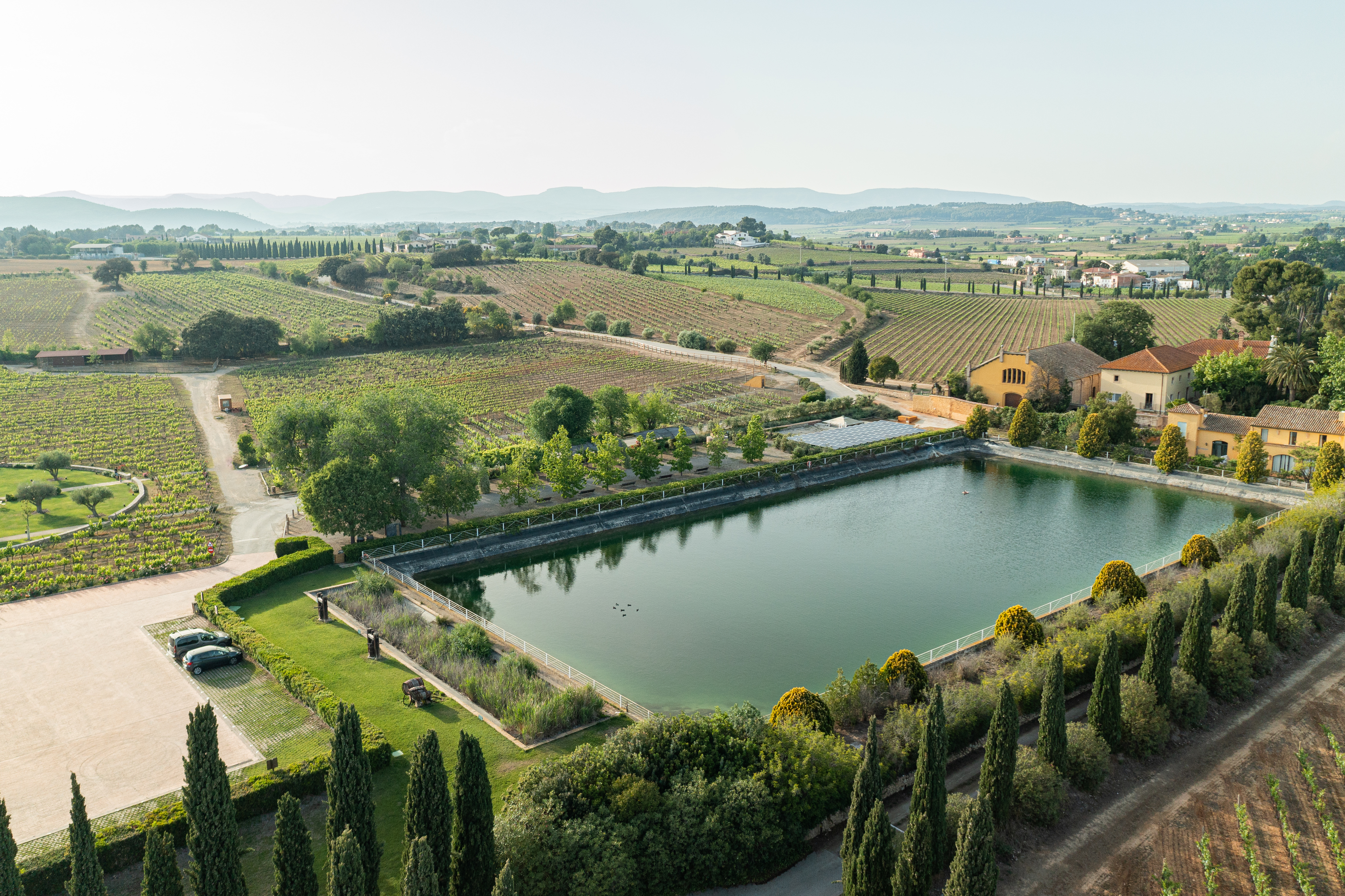 Embalse con las reservas llenas, situado en la bodega de Familia Torres, verano 2023.