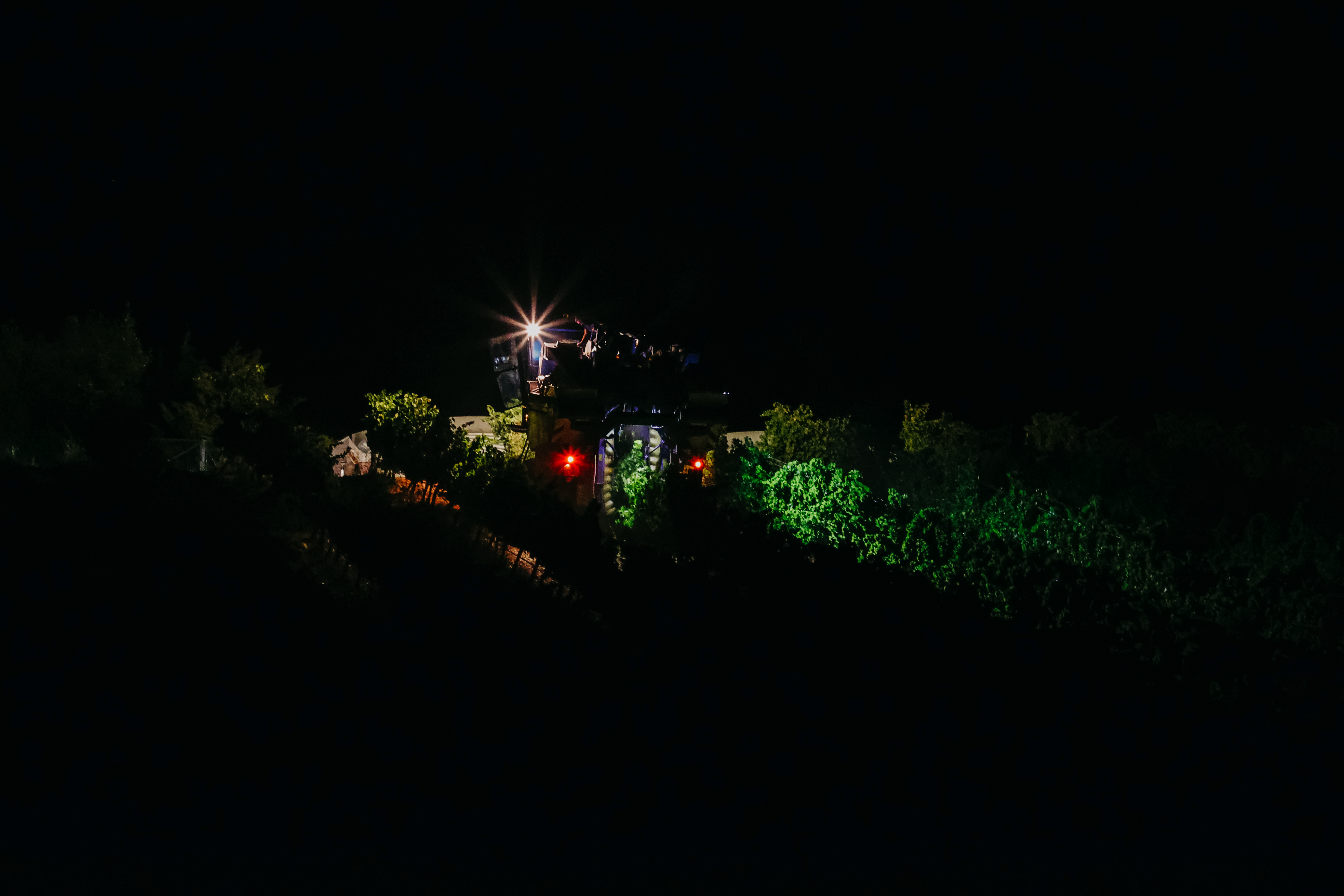Vendimia nocturna en la DO Rueda, en los viñedos de Familia Torres